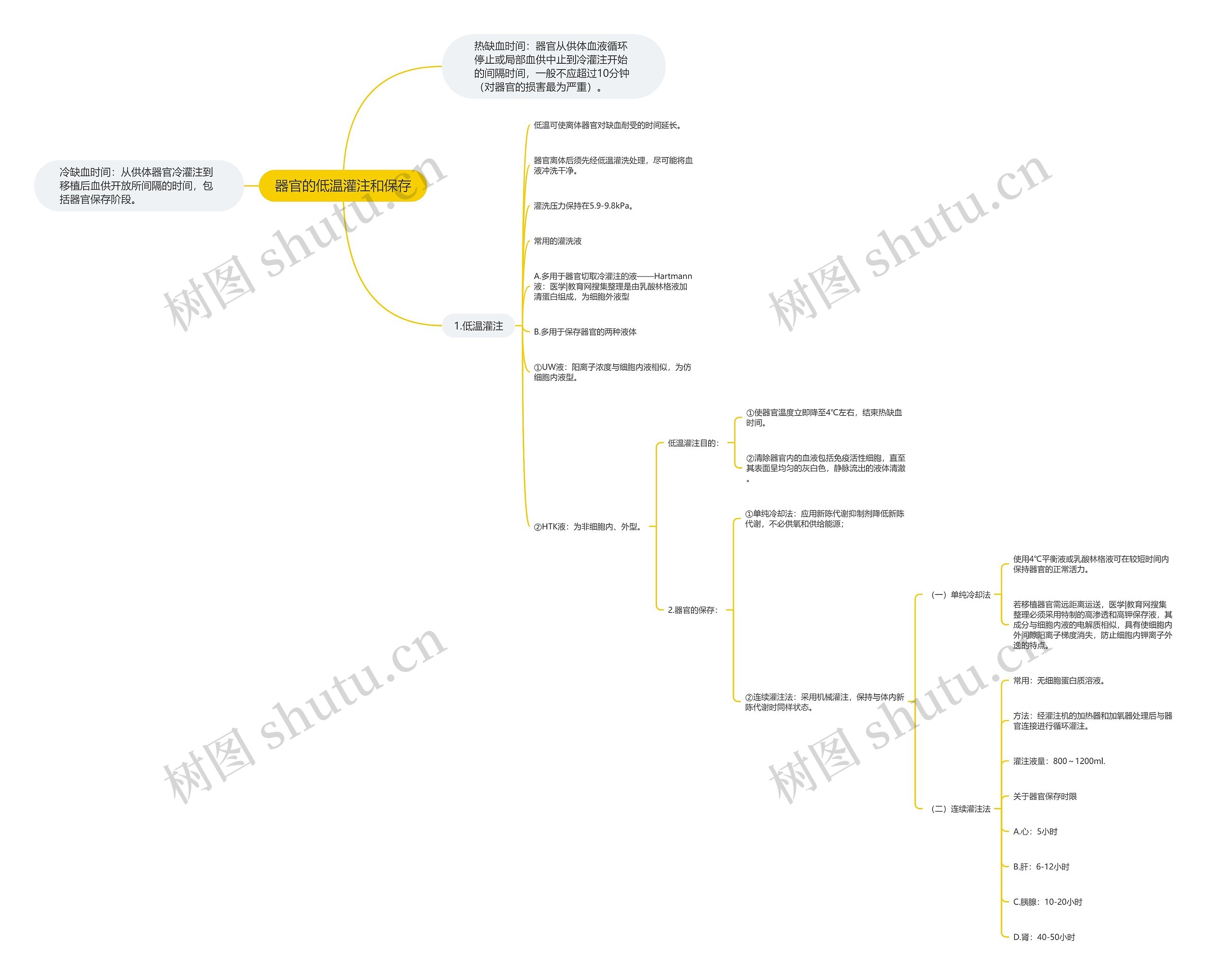 器官的低温灌注和保存 器官的低温灌注和保存