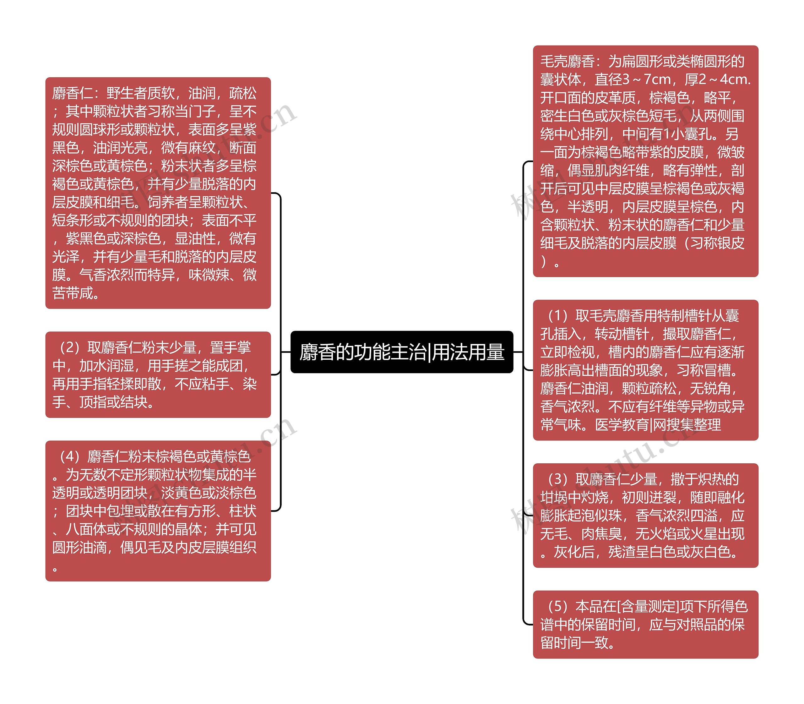 麝香的功能主治|用法用量思维导图