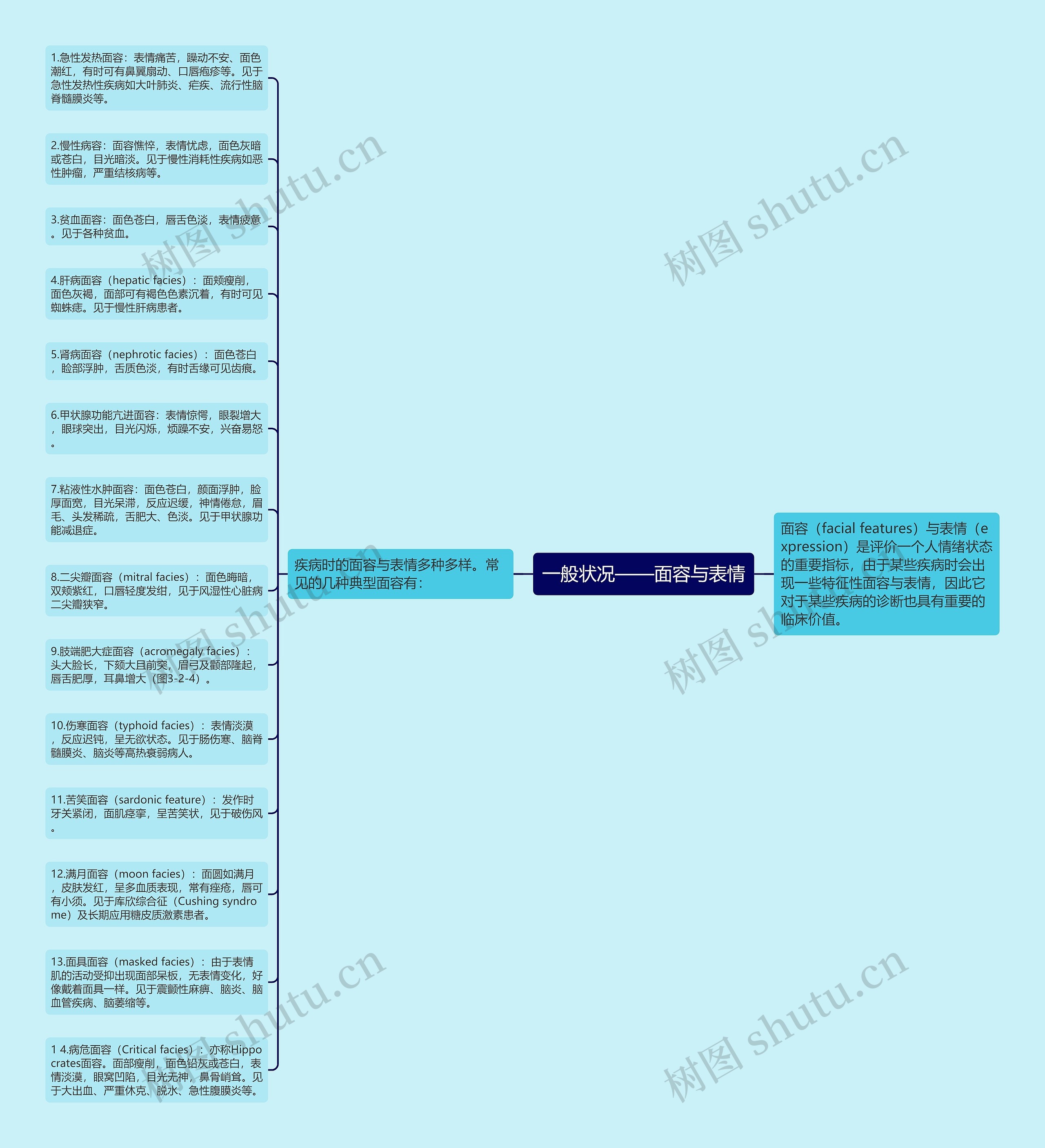 一般状况——面容与表情思维导图