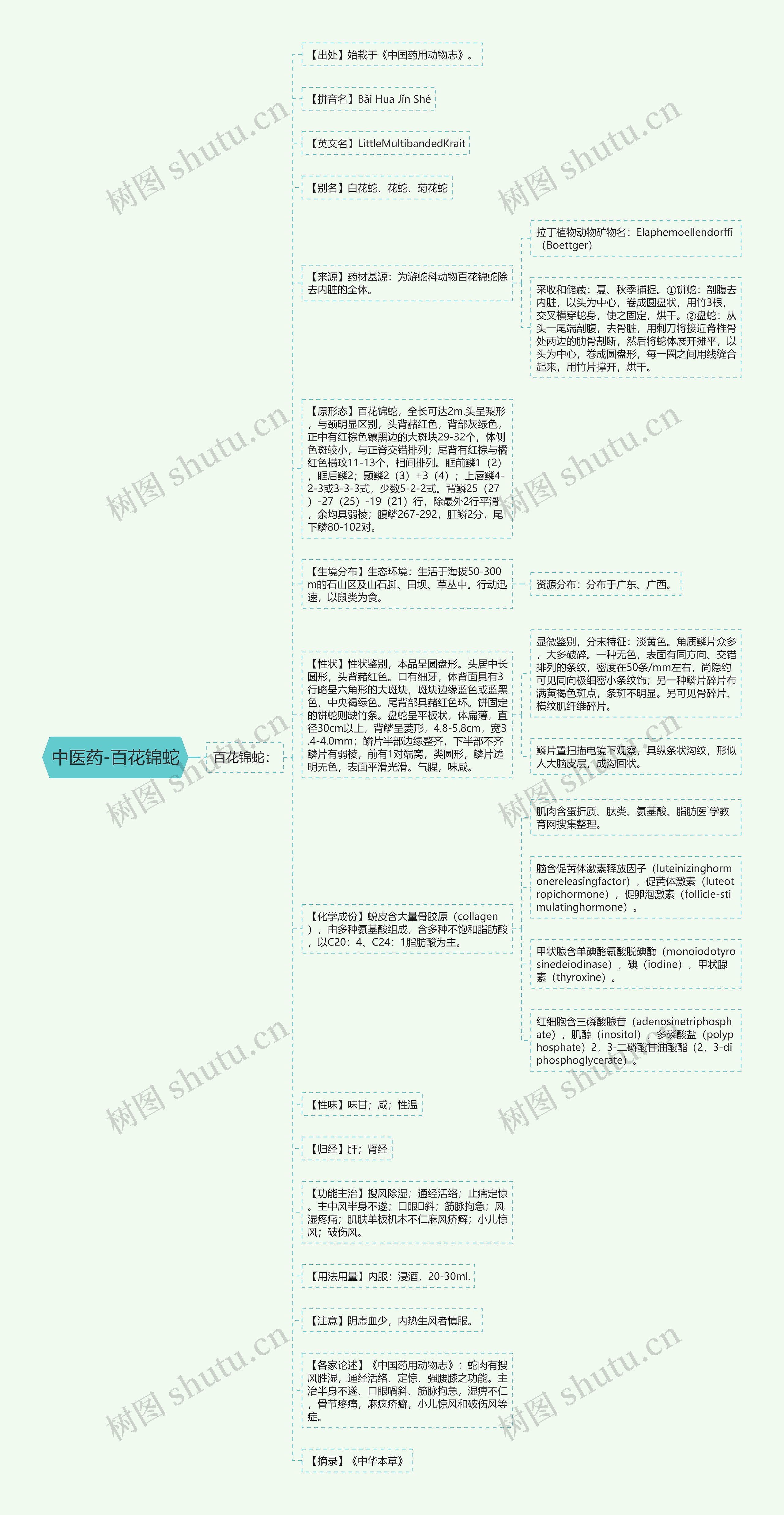 中医药-百花锦蛇思维导图