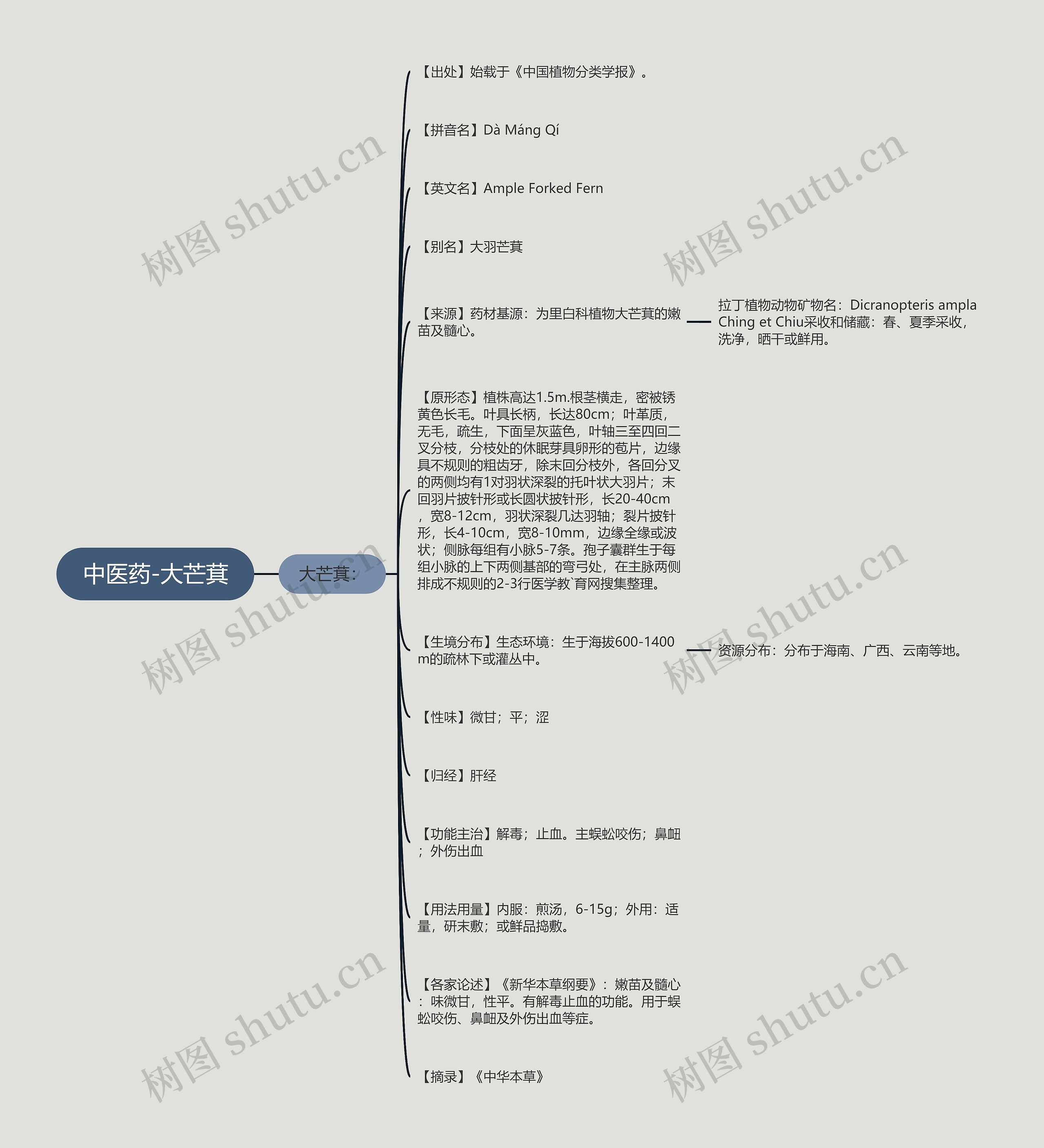 中医药-大芒萁思维导图