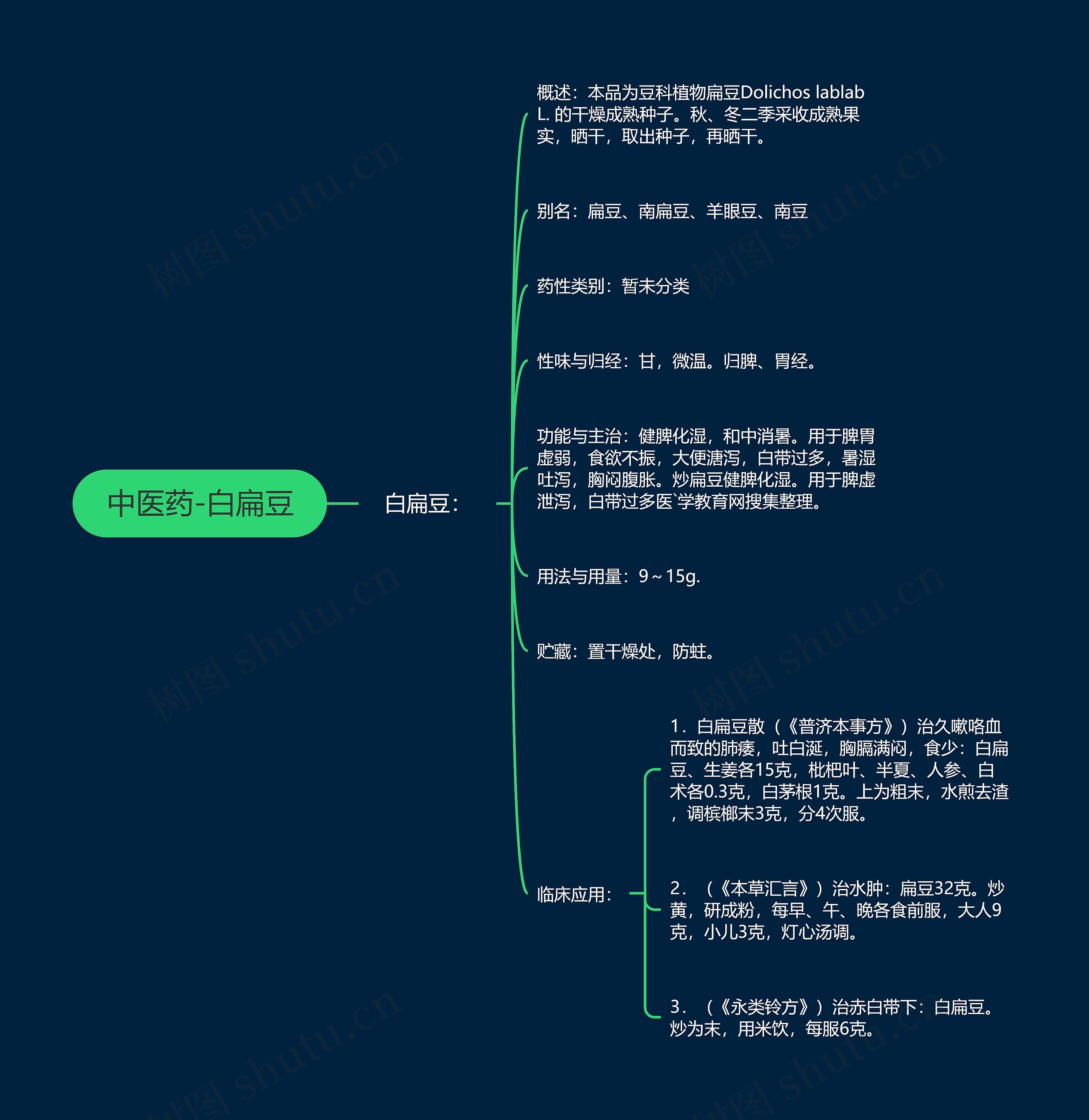 中医药-白扁豆 中医药-白扁豆
