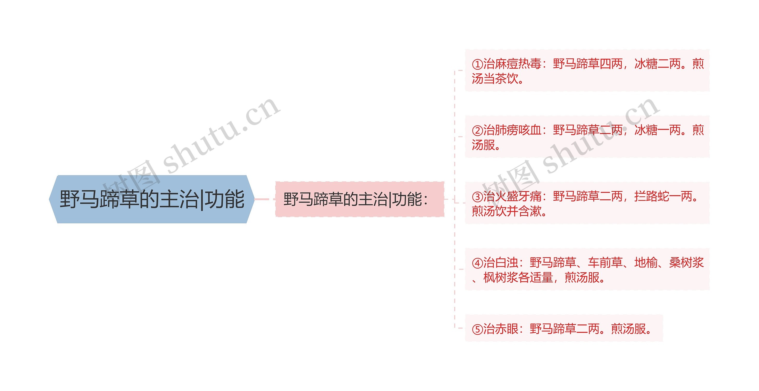 野马蹄草的主治|功能思维导图