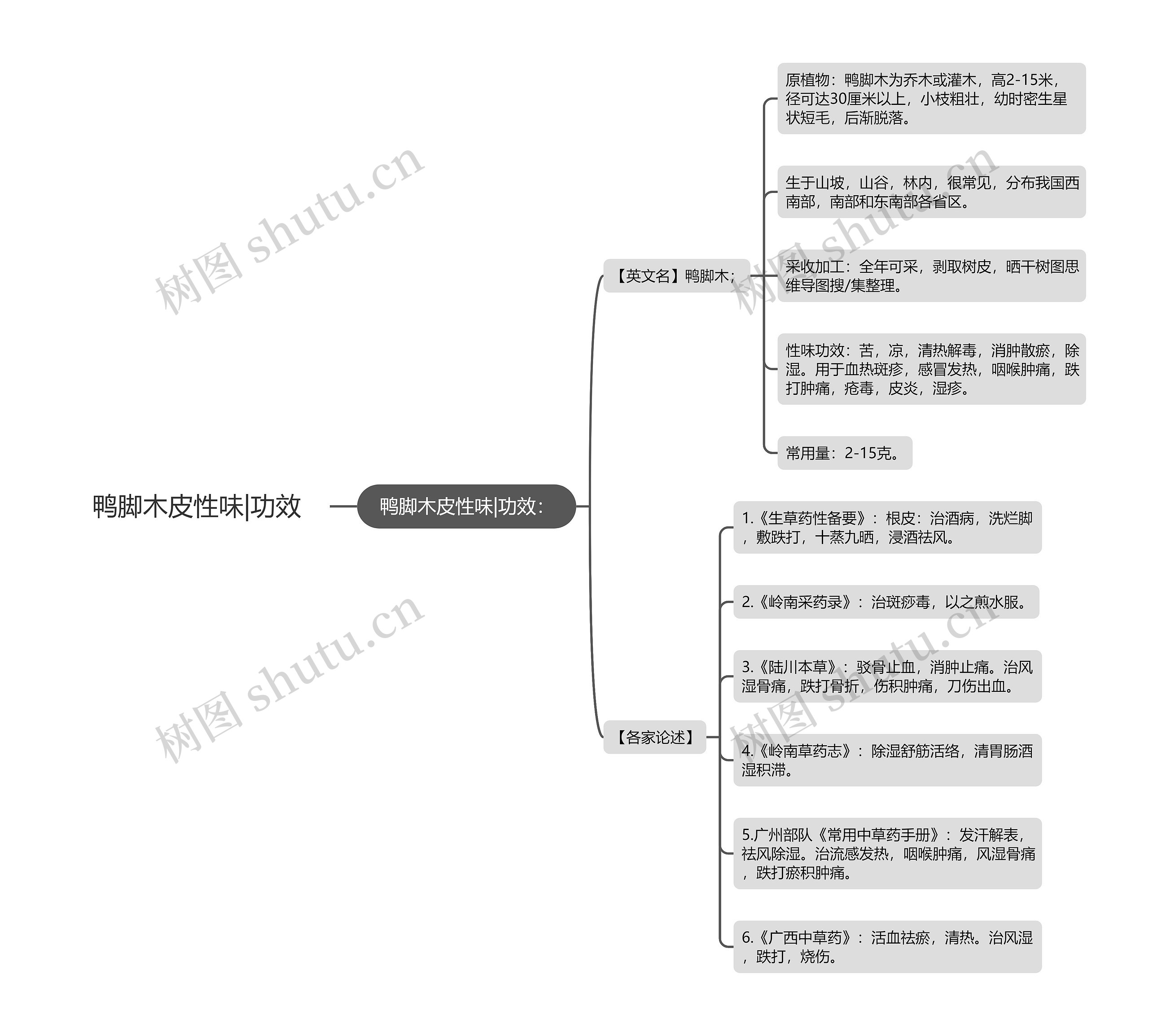 鸭脚木皮性味|功效思维导图