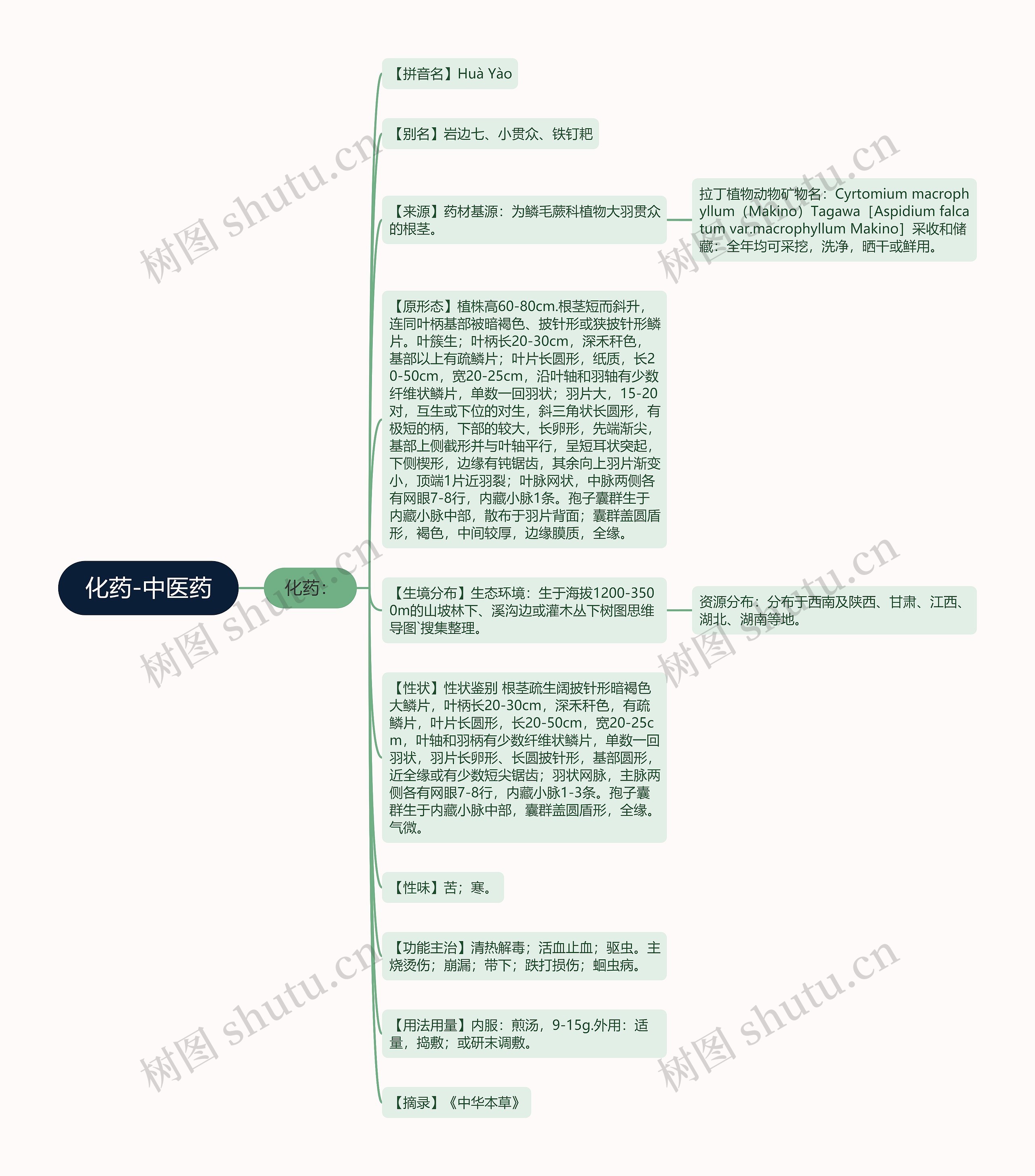 化药-中医药思维导图