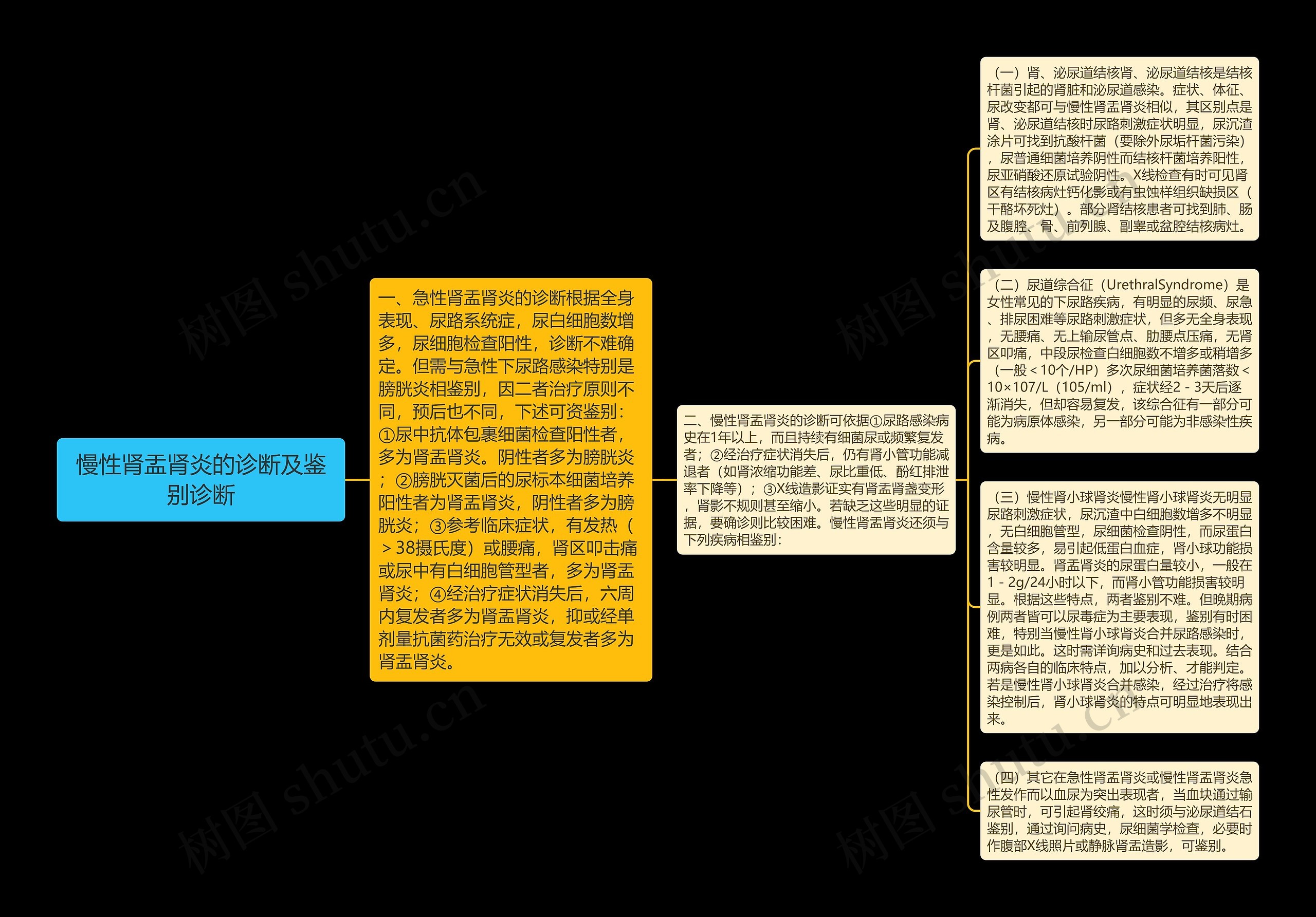 慢性肾盂肾炎的诊断及鉴别诊断