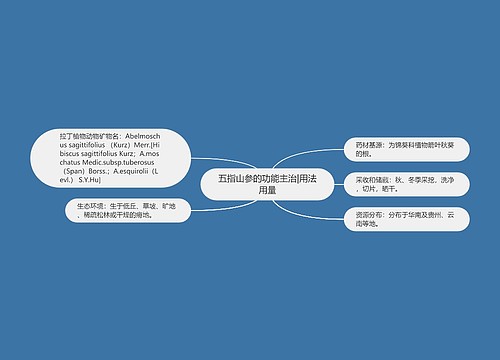 五指山参的功能主治|用法用量