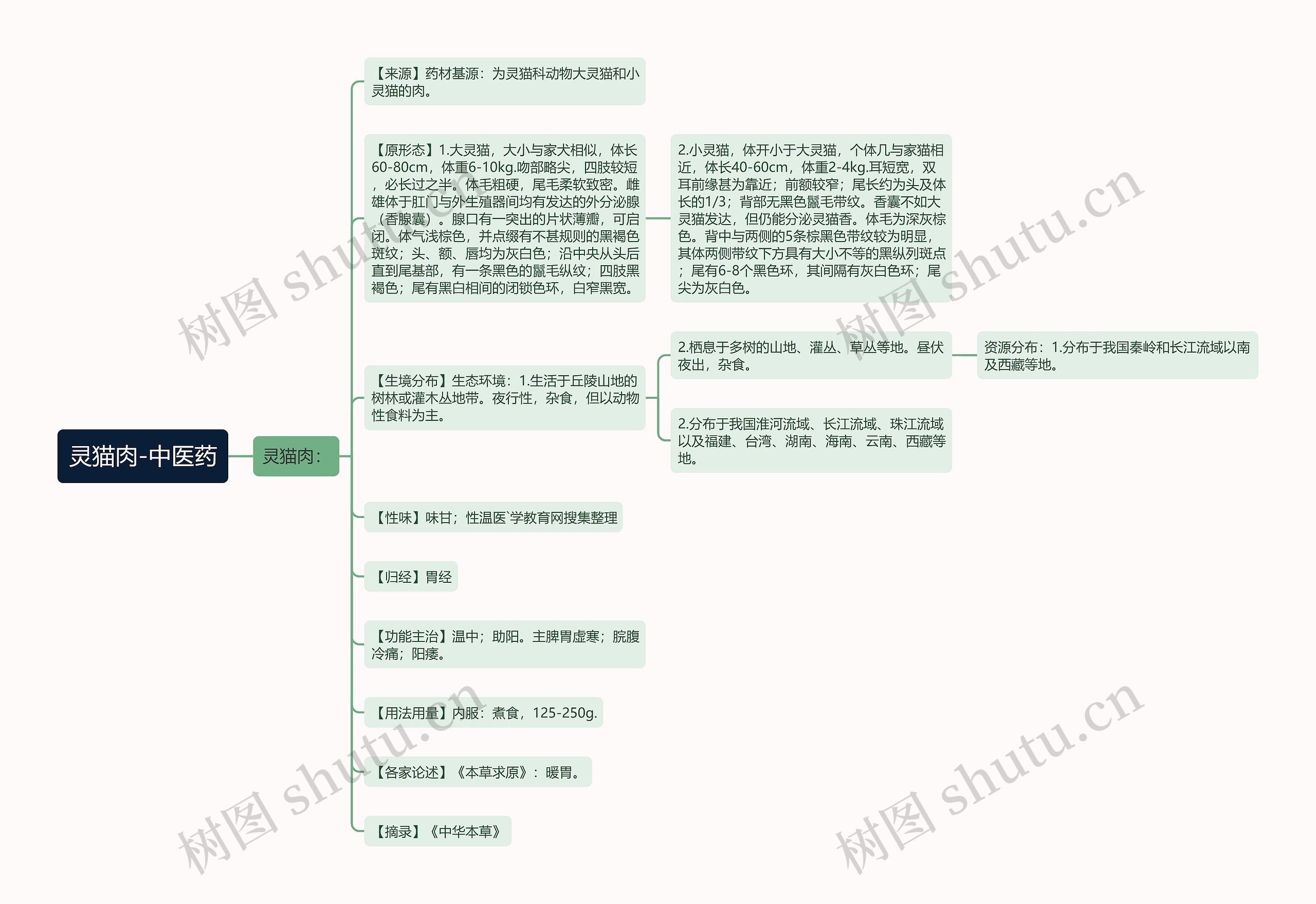 灵猫肉-中医药思维导图