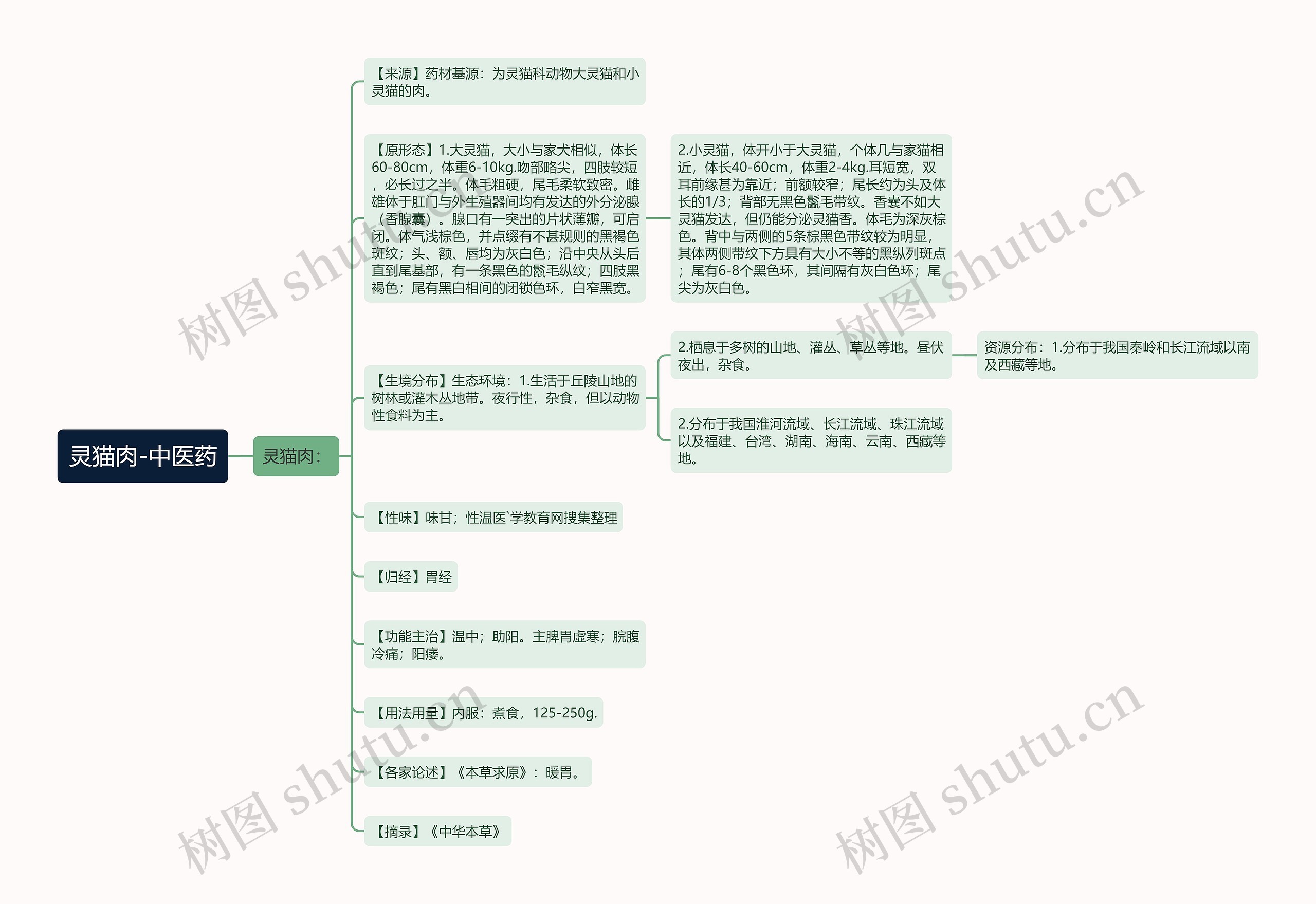 灵猫肉-中医药 灵猫肉-中医药