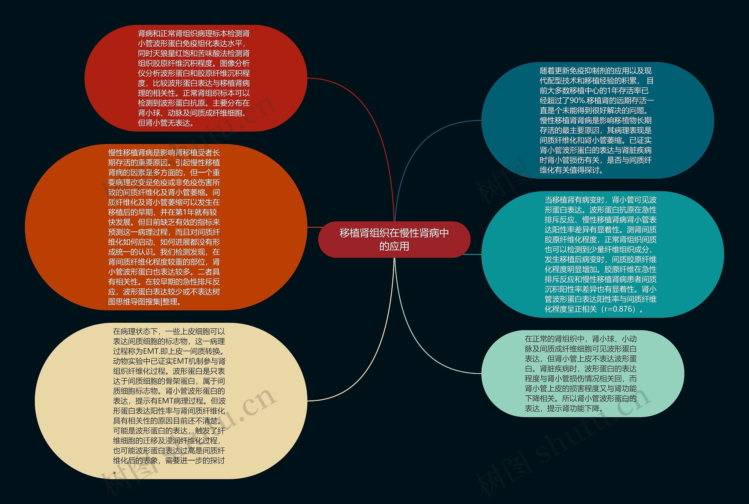 移植肾组织在慢性肾病中的应用思维导图