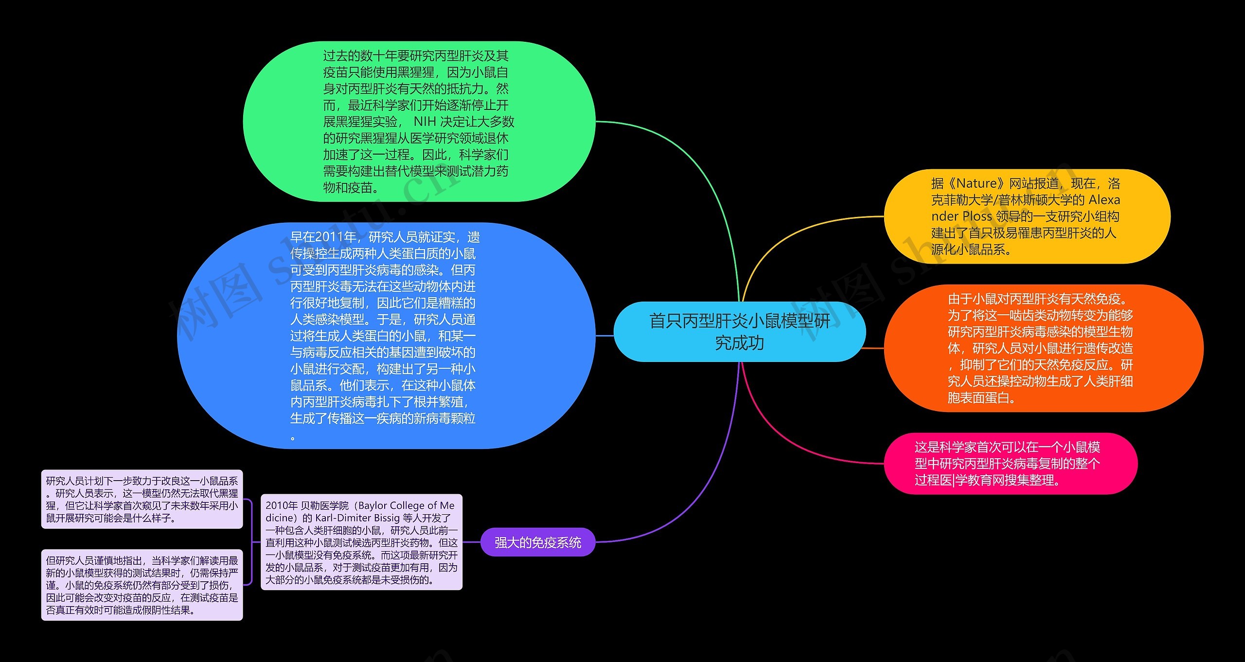 首只丙型肝炎小鼠模型研究成功思维导图