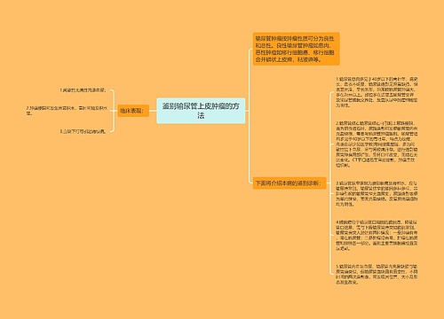 鉴别输尿管上皮肿瘤的方法