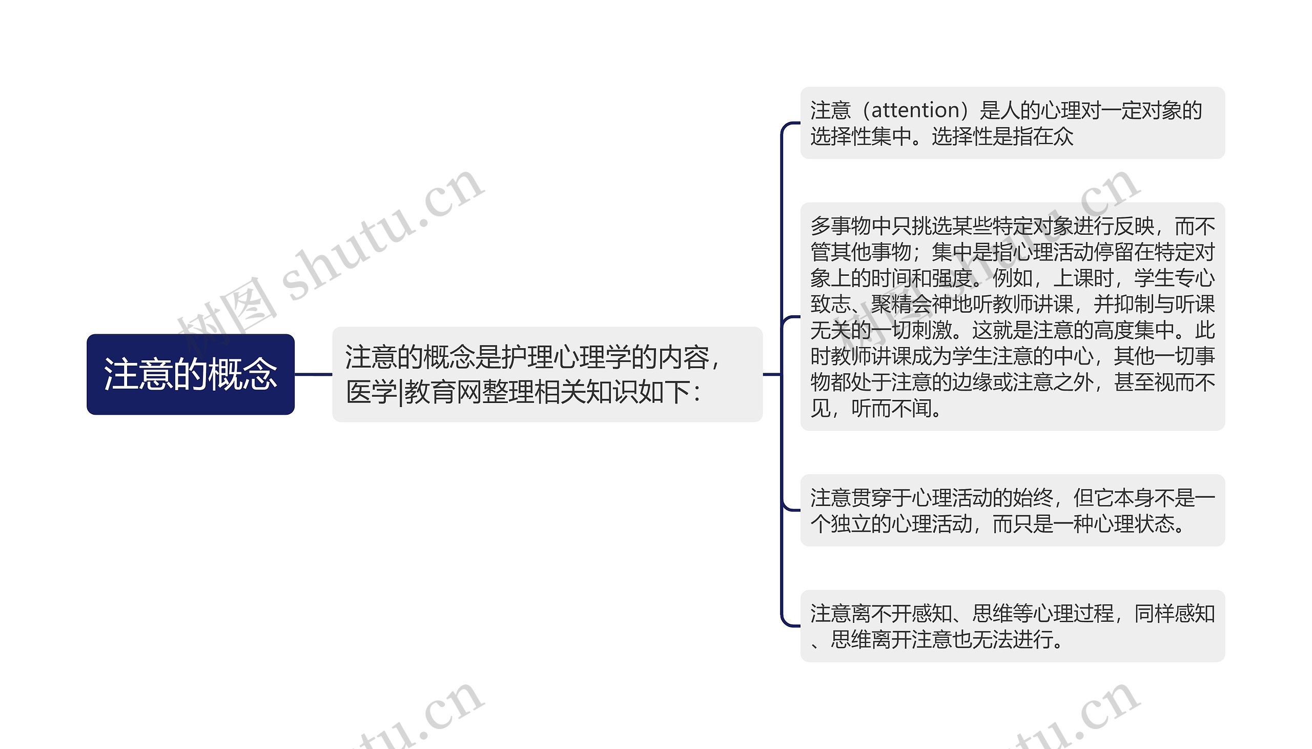 注意的概念思维导图