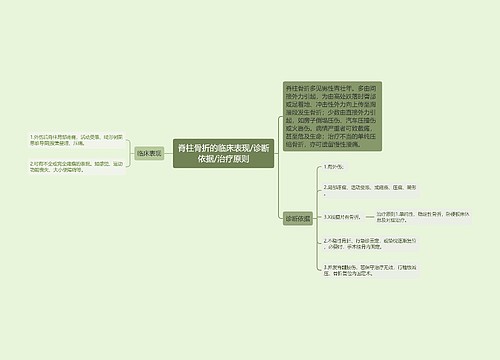 脊柱骨折的临床表现/诊断依据/治疗原则