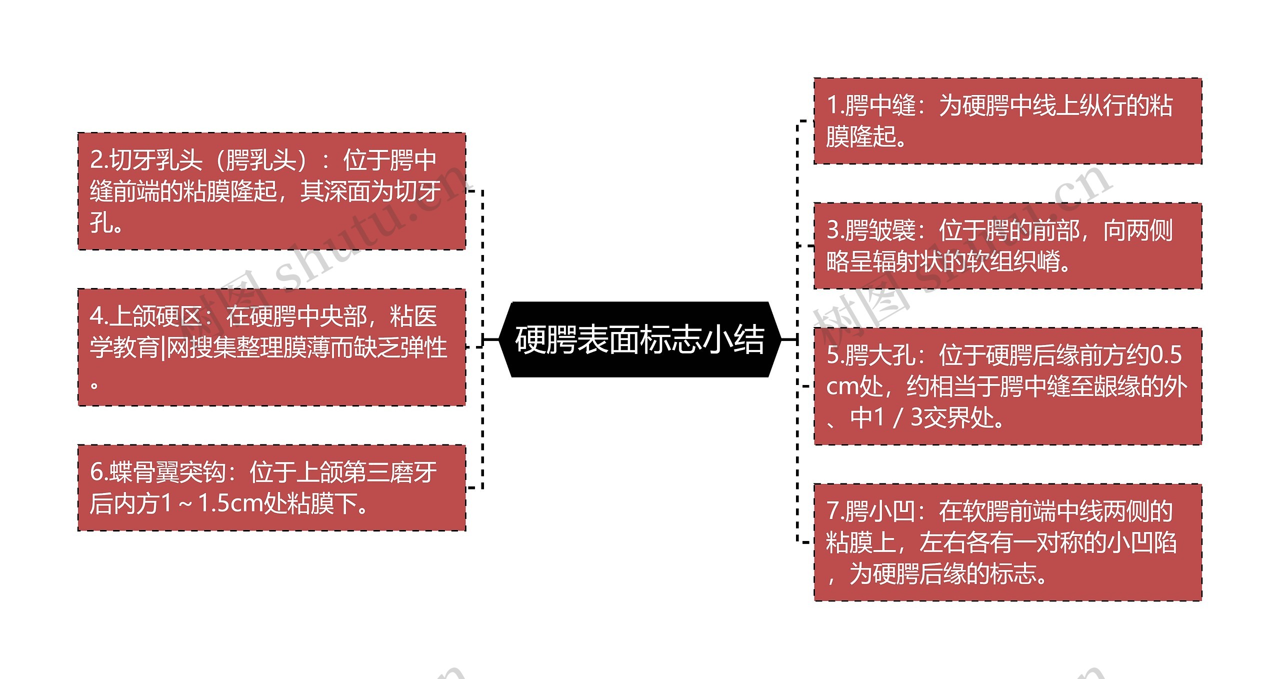 硬腭表面标志小结思维导图