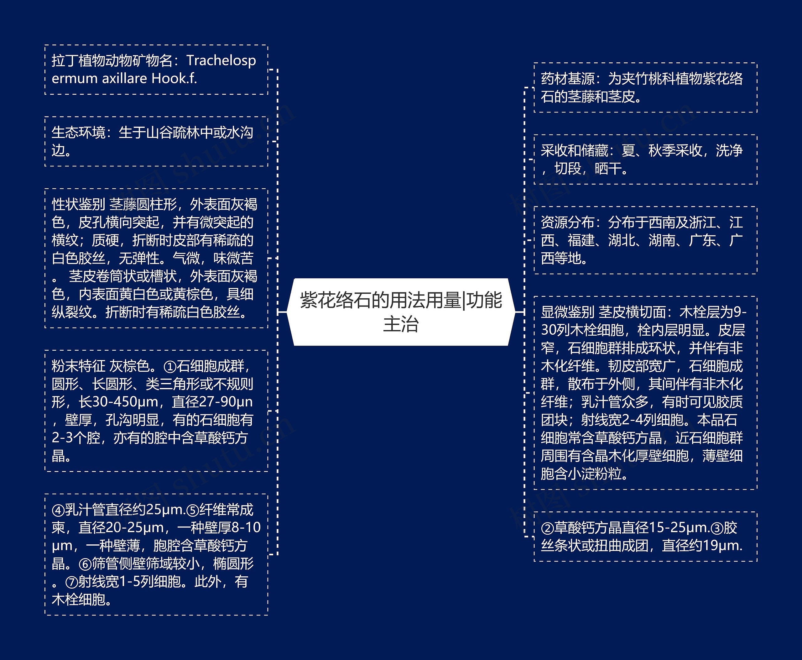 紫花络石的用法用量|功能主治 紫花络石的用法用量|功能主治