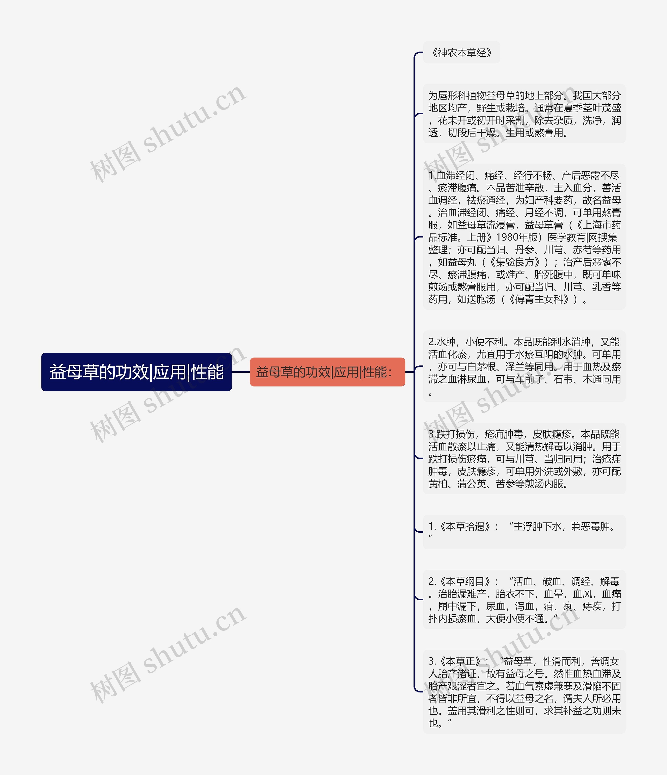 益母草的功效|应用|性能思维导图