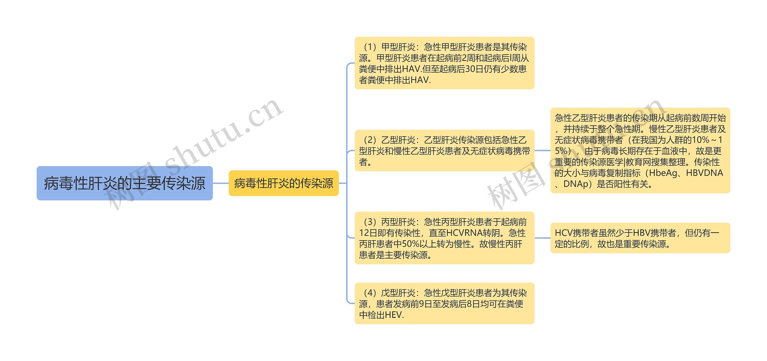 病毒性肝炎的主要传染源思维导图