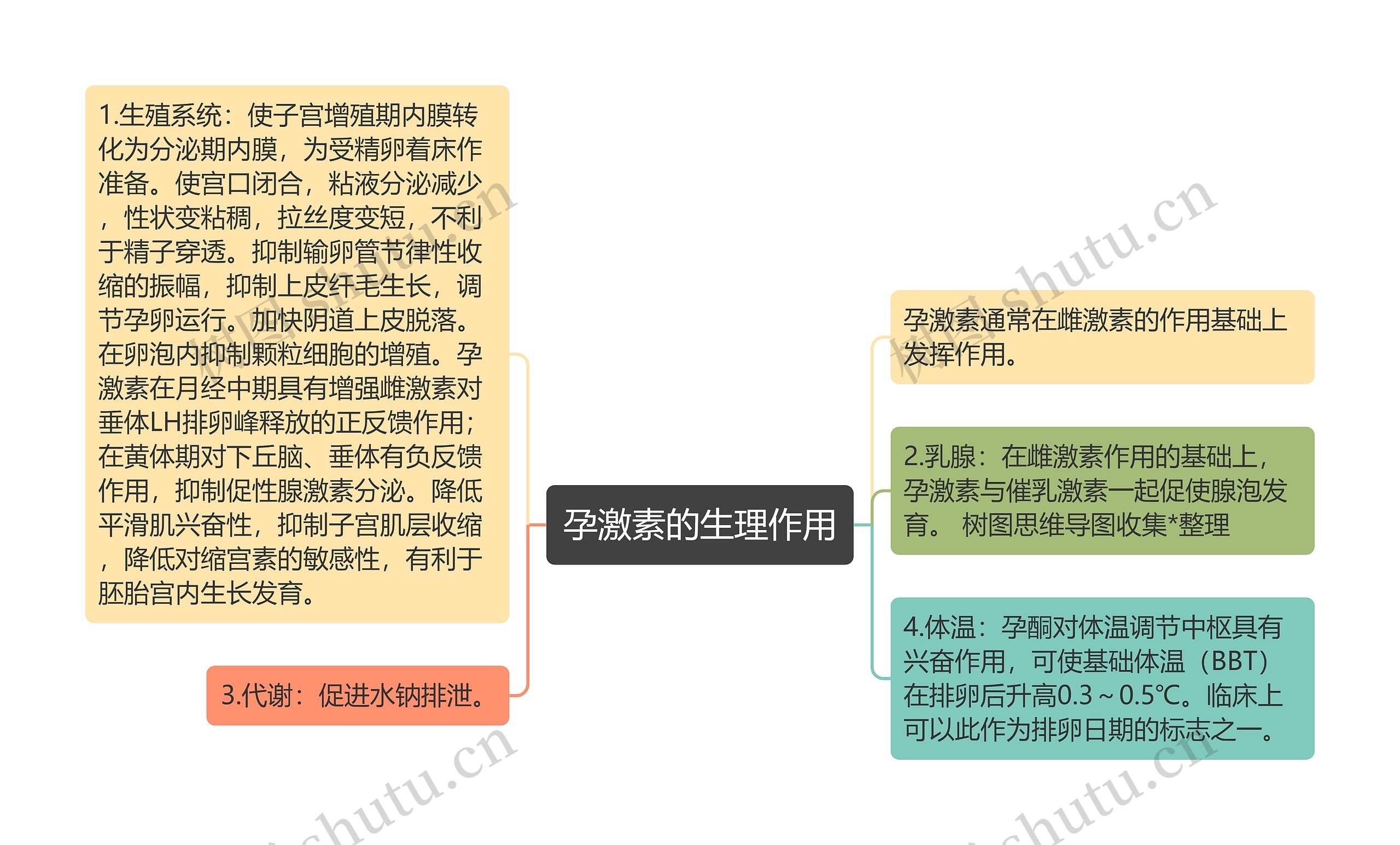 孕激素的生理作用思维导图