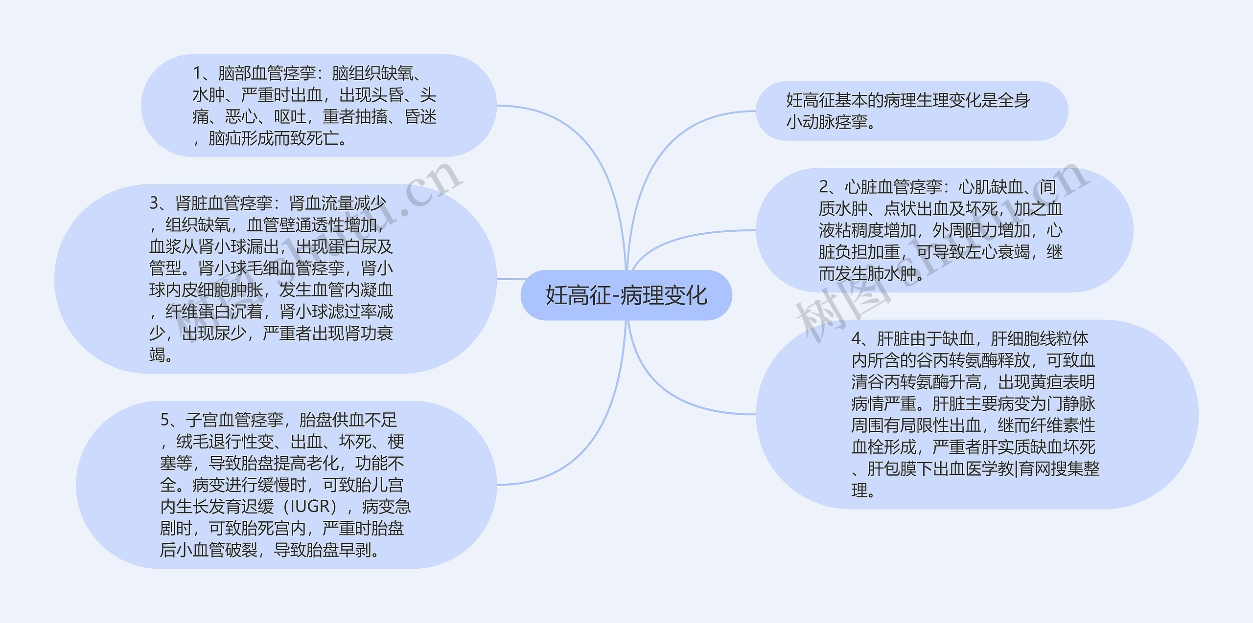 妊高征-病理变化思维导图