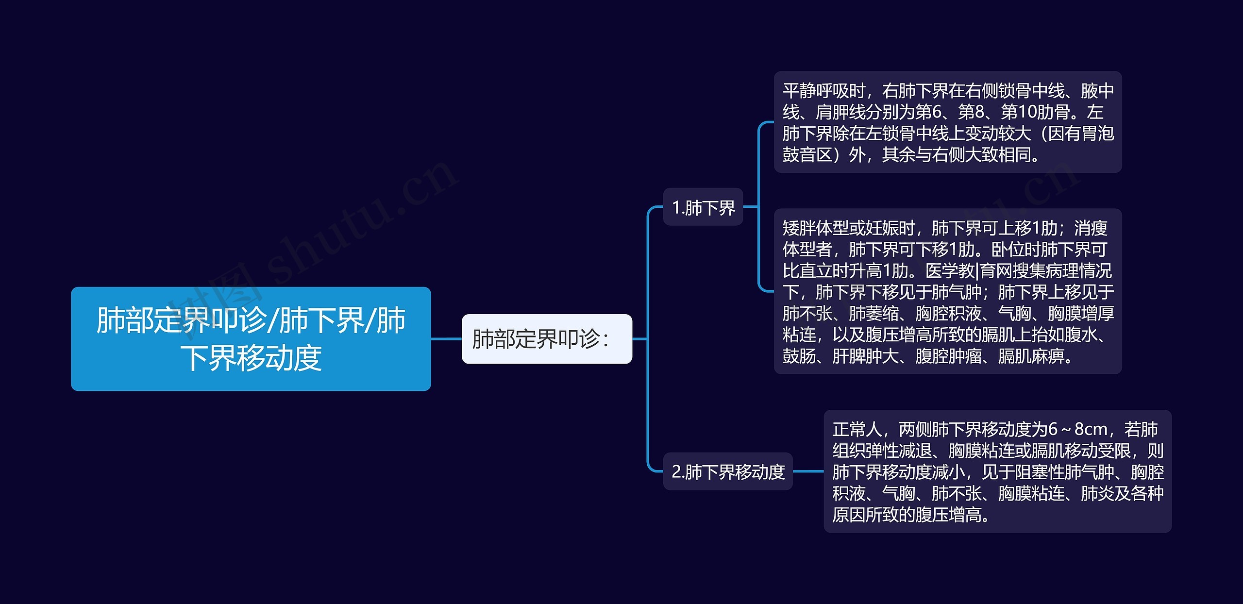 肺部定界叩诊/肺下界/肺下界移动度思维导图