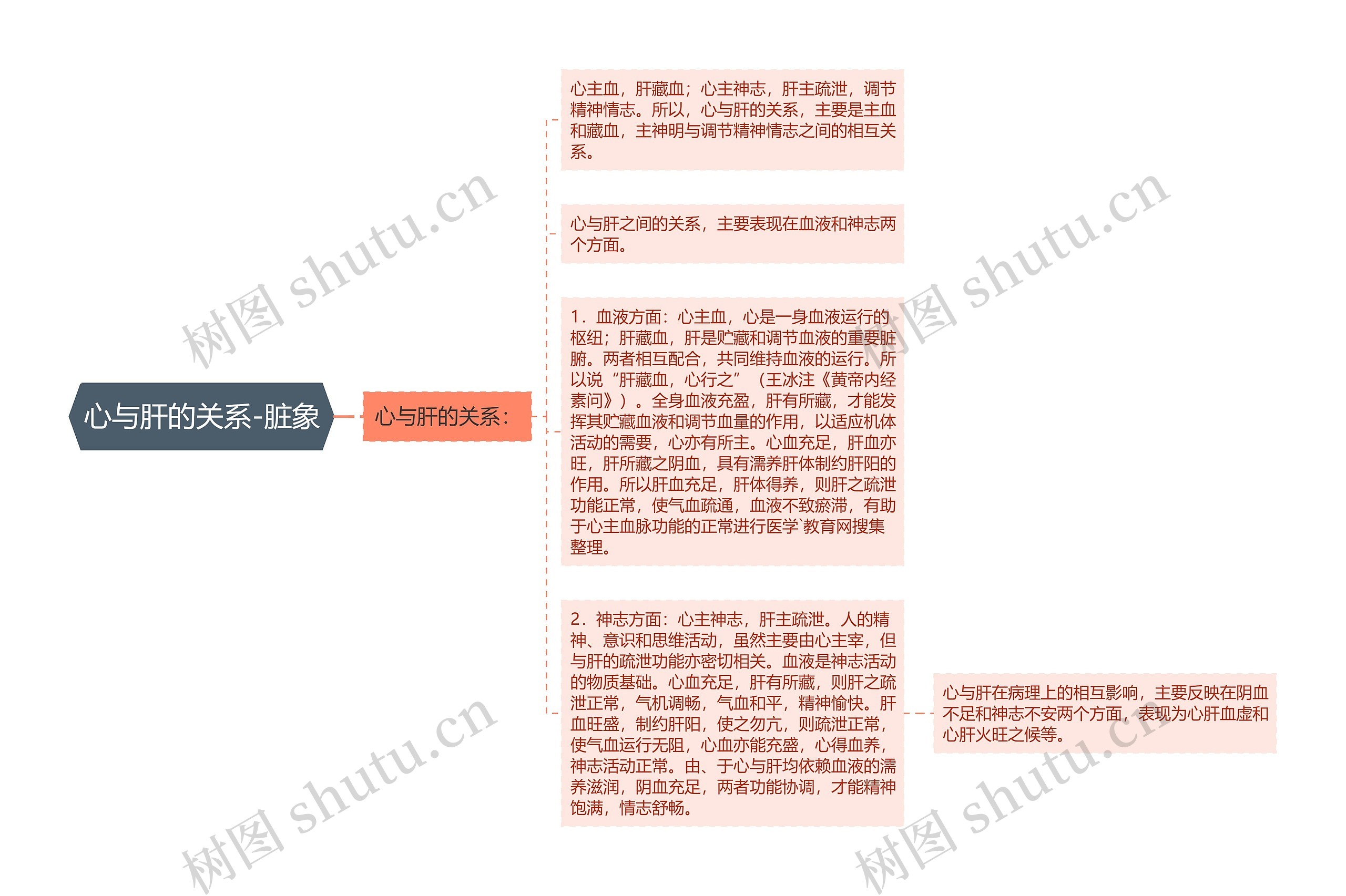 心与肝的关系-脏象思维导图