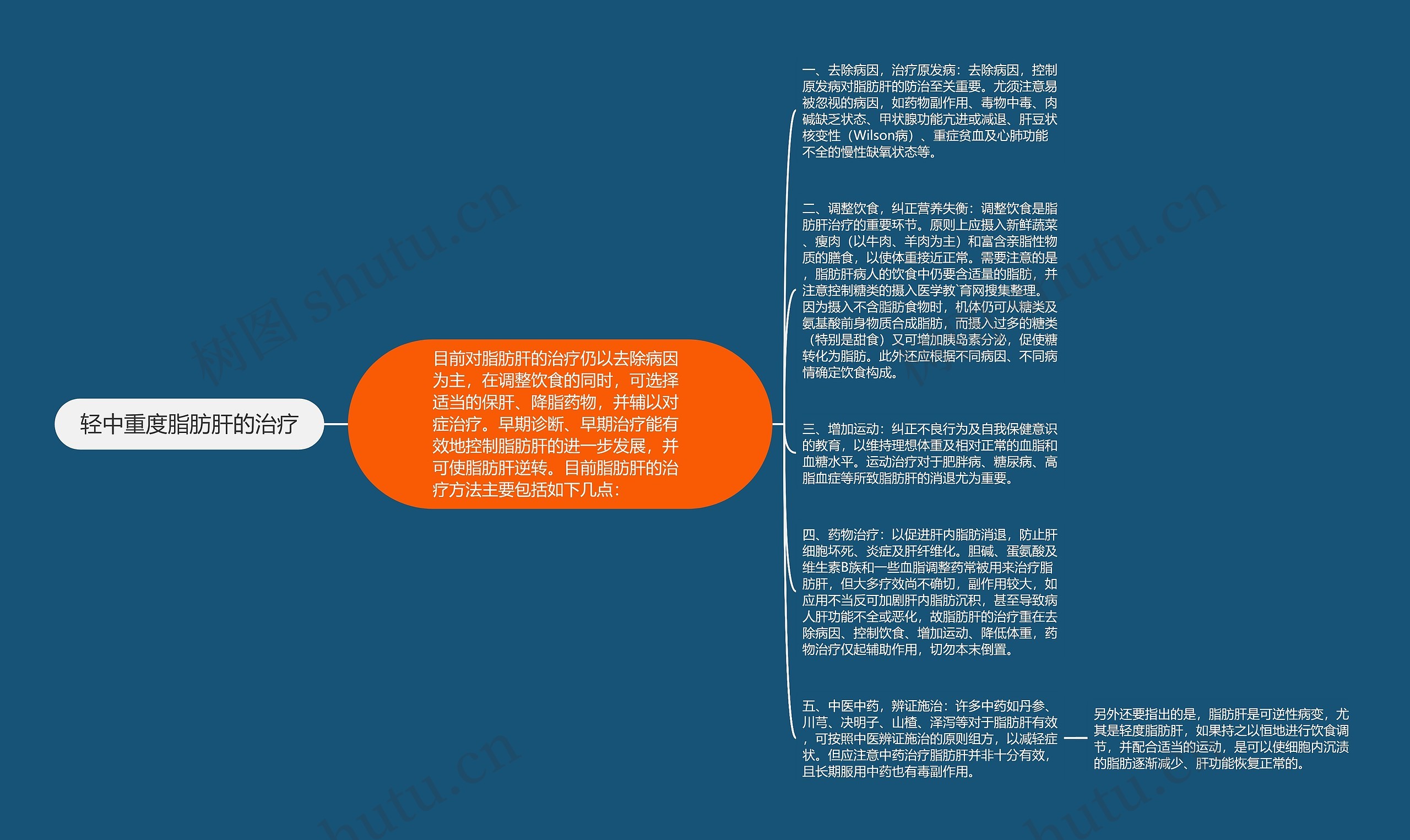 轻中重度脂肪肝的治疗