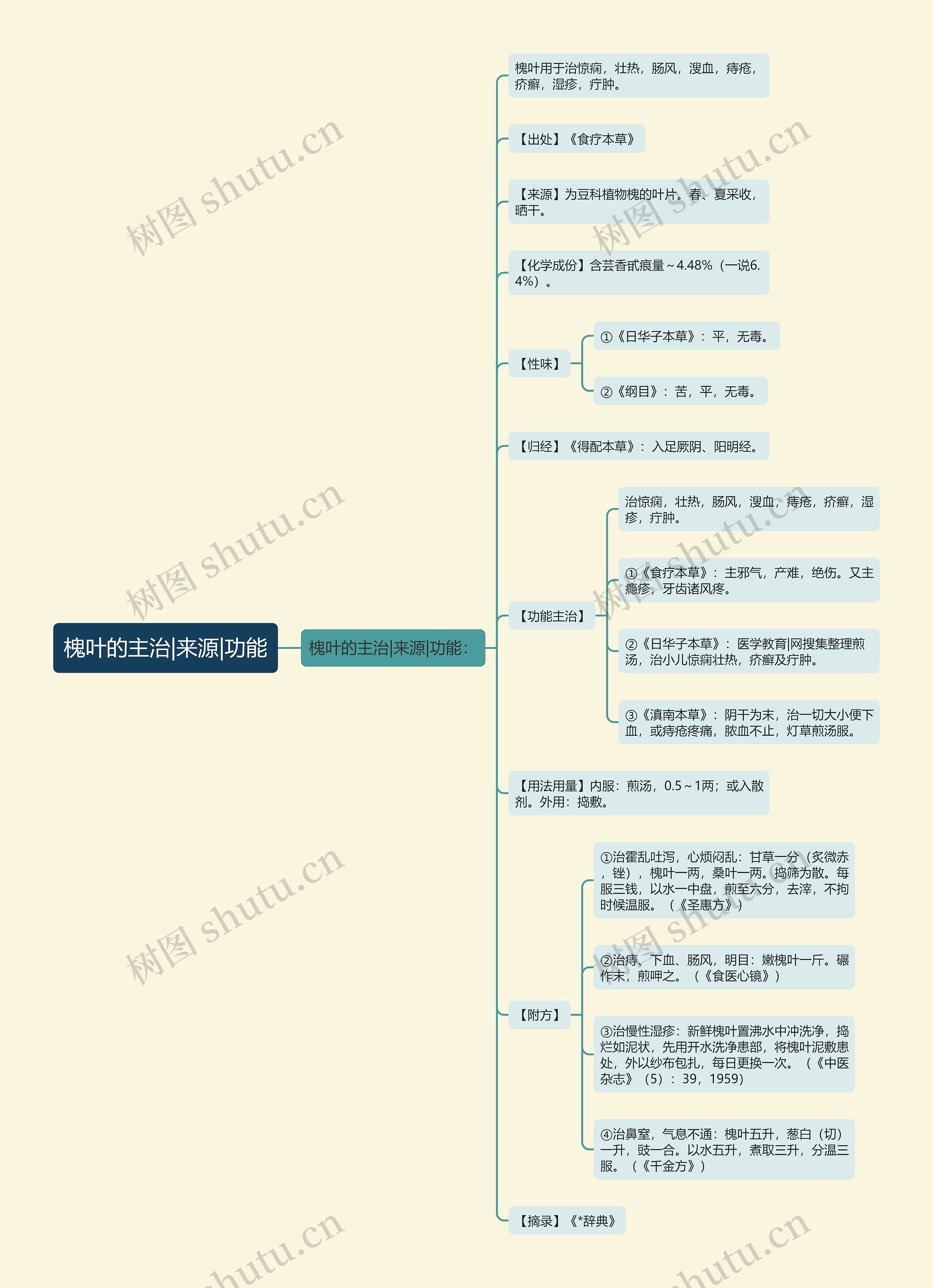 槐叶的主治|来源|功能思维导图