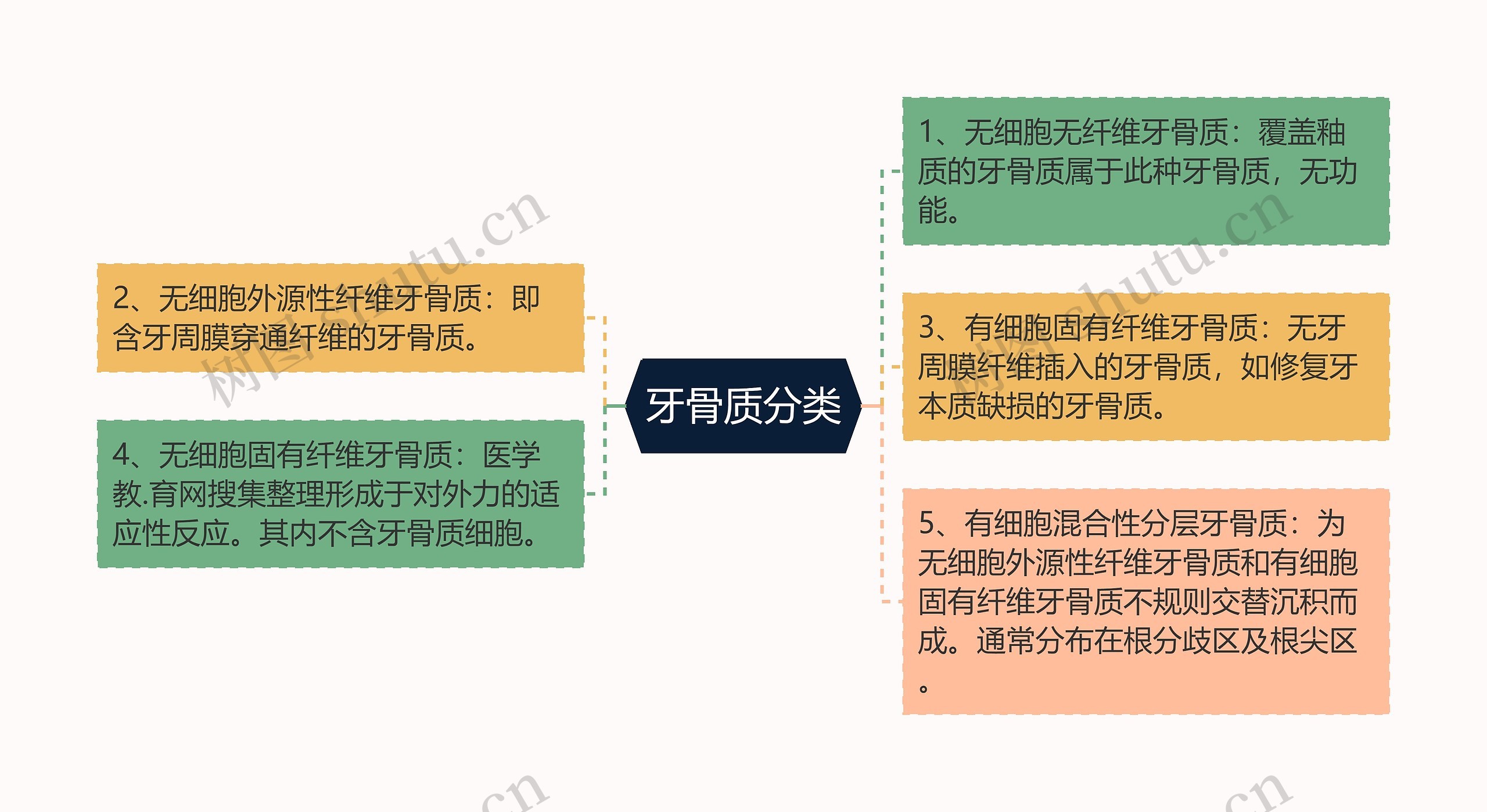 牙骨质分类思维导图