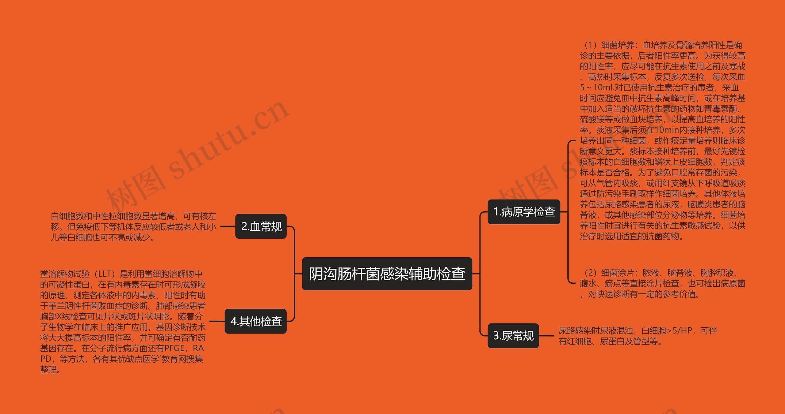 阴沟肠杆菌感染辅助检查思维导图