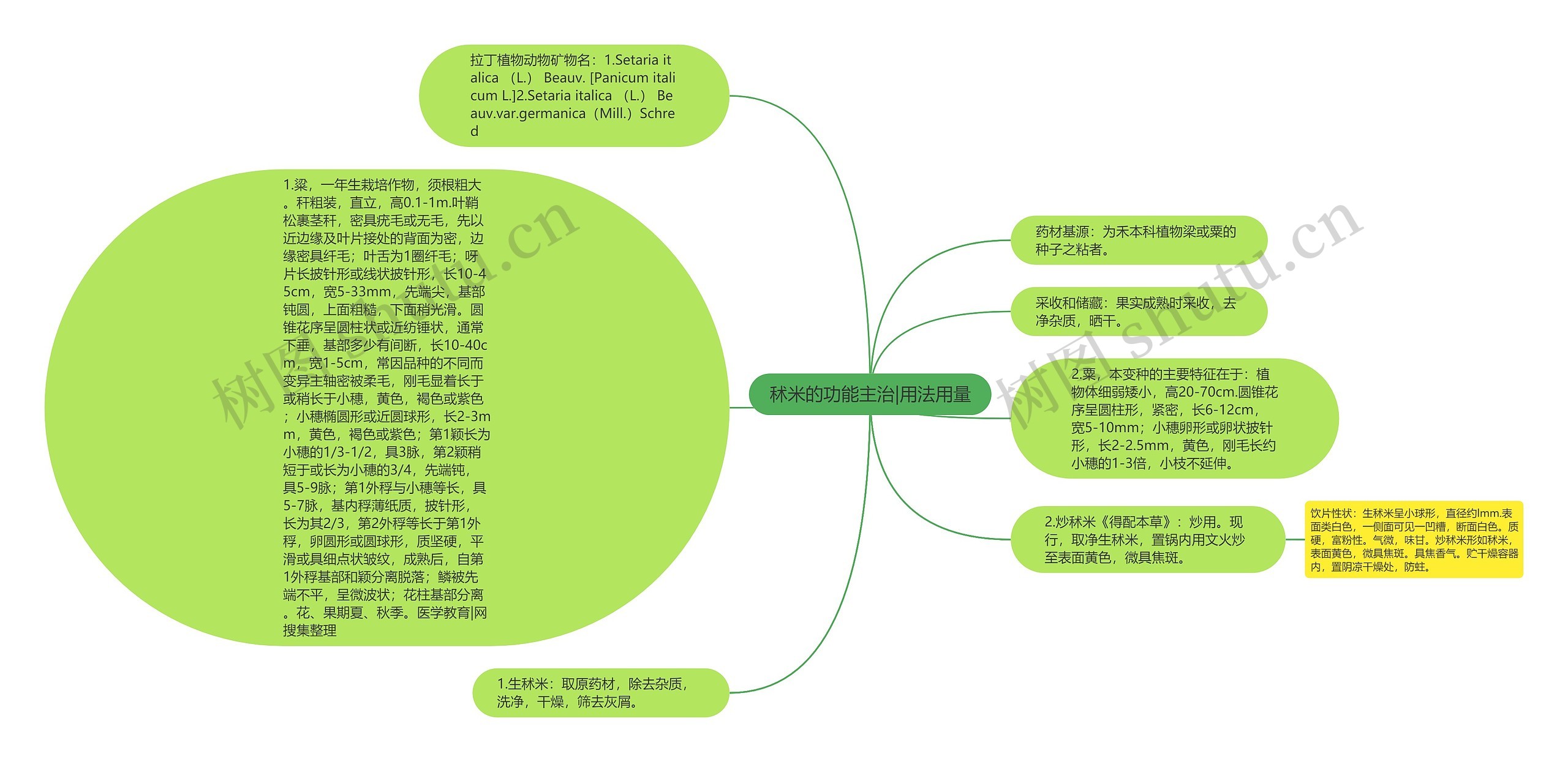 秫米的功能主治|用法用量思维导图