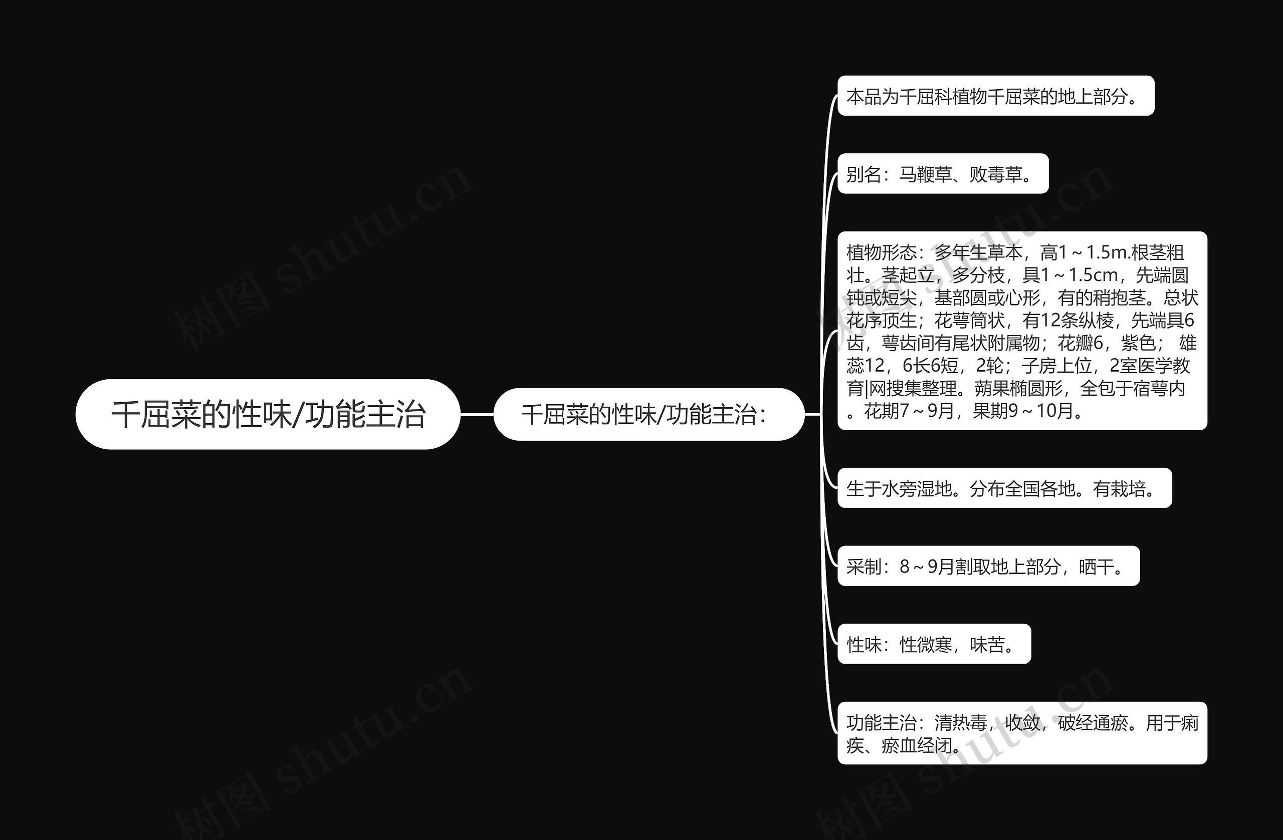 千屈菜的性味/功能主治