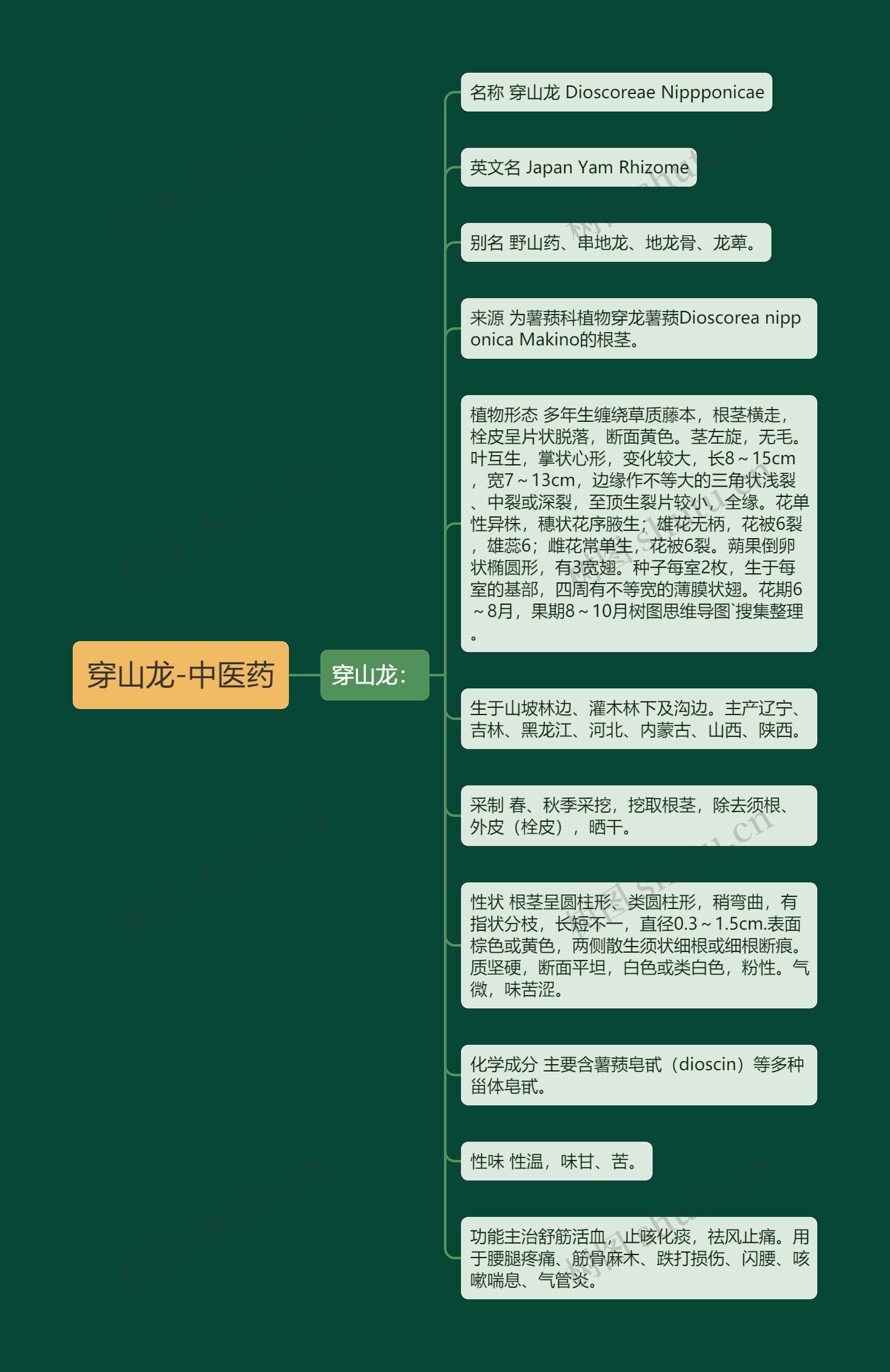 穿山龙-中医药 穿山龙-中医药