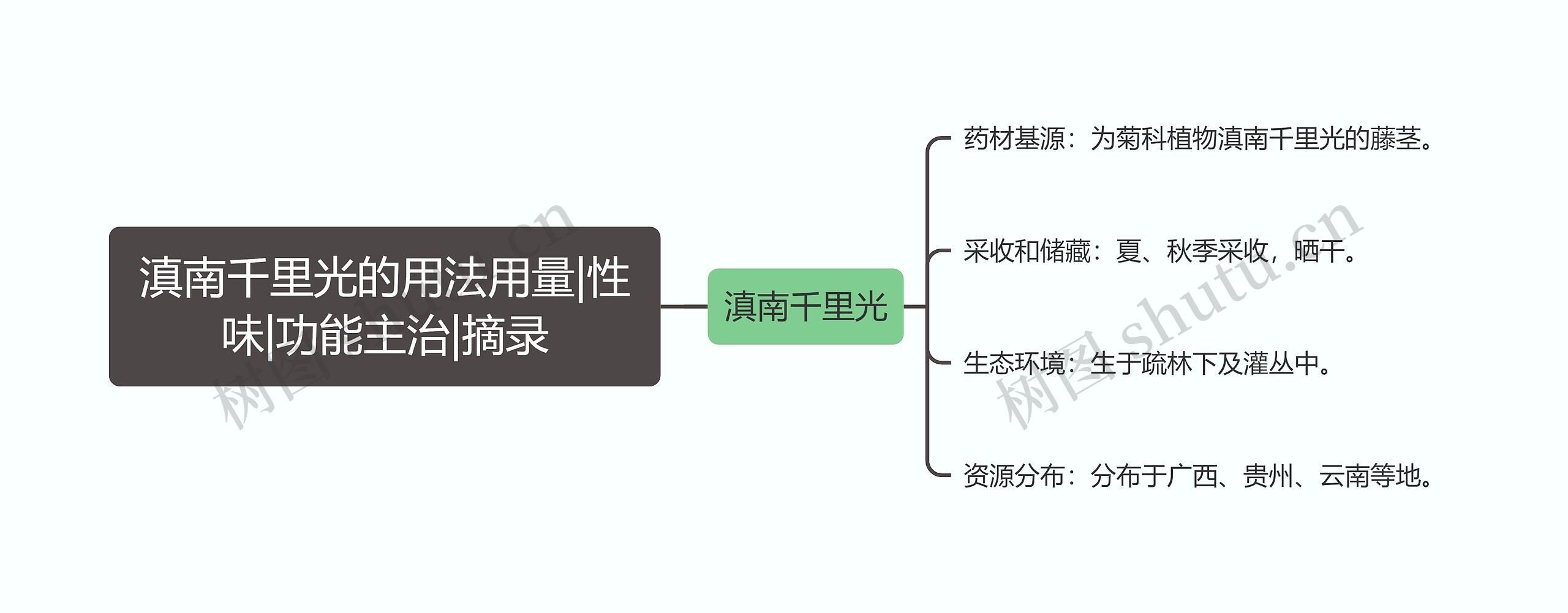 滇南千里光的用法用量|性味|功能主治|摘录思维导图