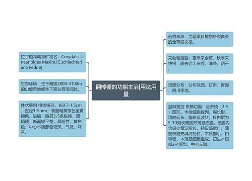 铜棒锤的功能主治|用法用量