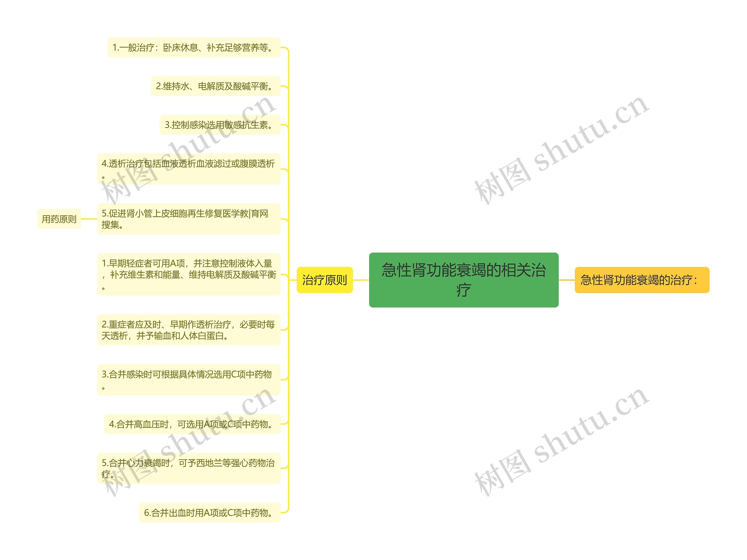 急性肾功能衰竭的相关治疗思维导图