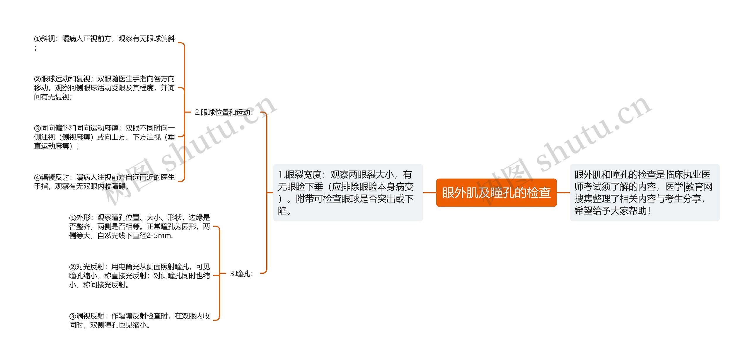 眼外肌及瞳孔的检查