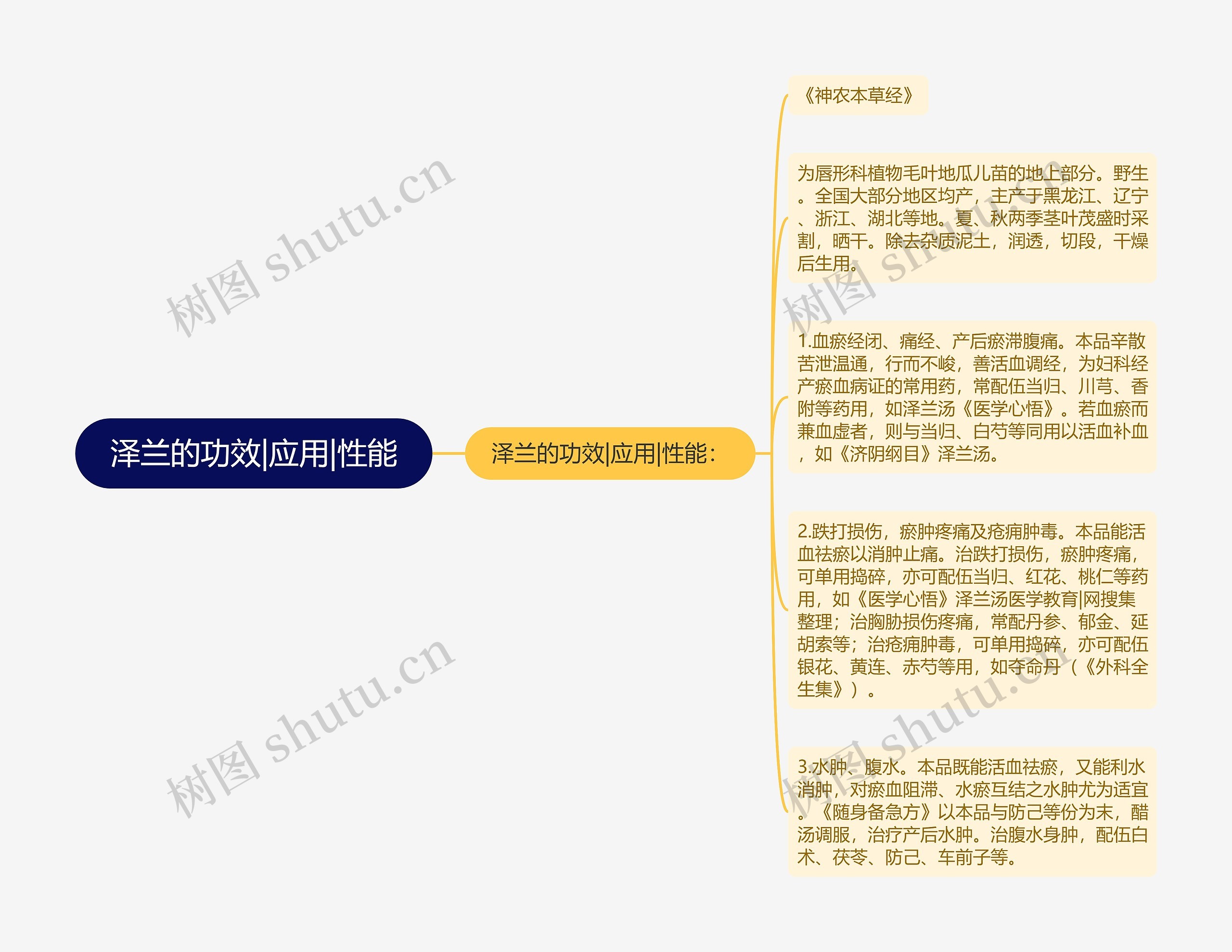 泽兰的功效|应用|性能思维导图