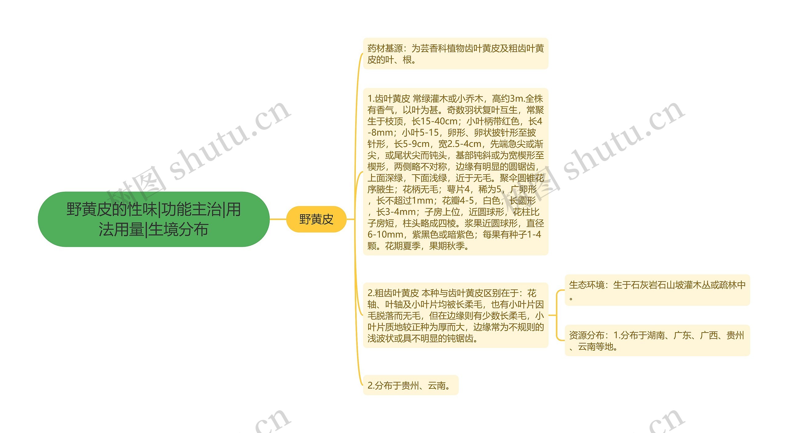 野黄皮的性味|功能主治|用法用量|生境分布