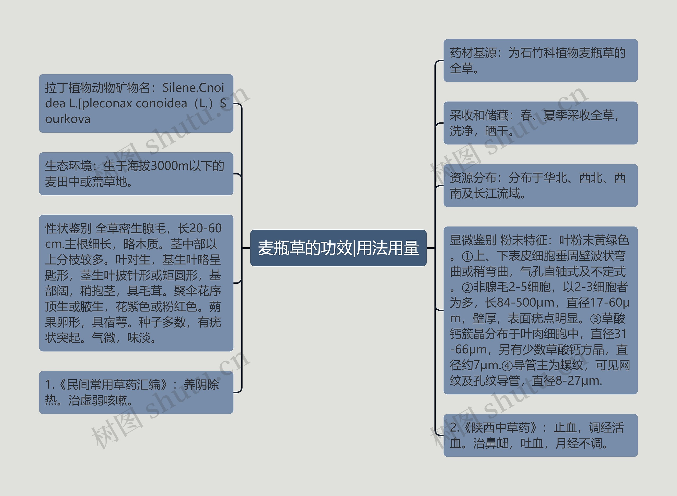 麦瓶草的功效|用法用量思维导图