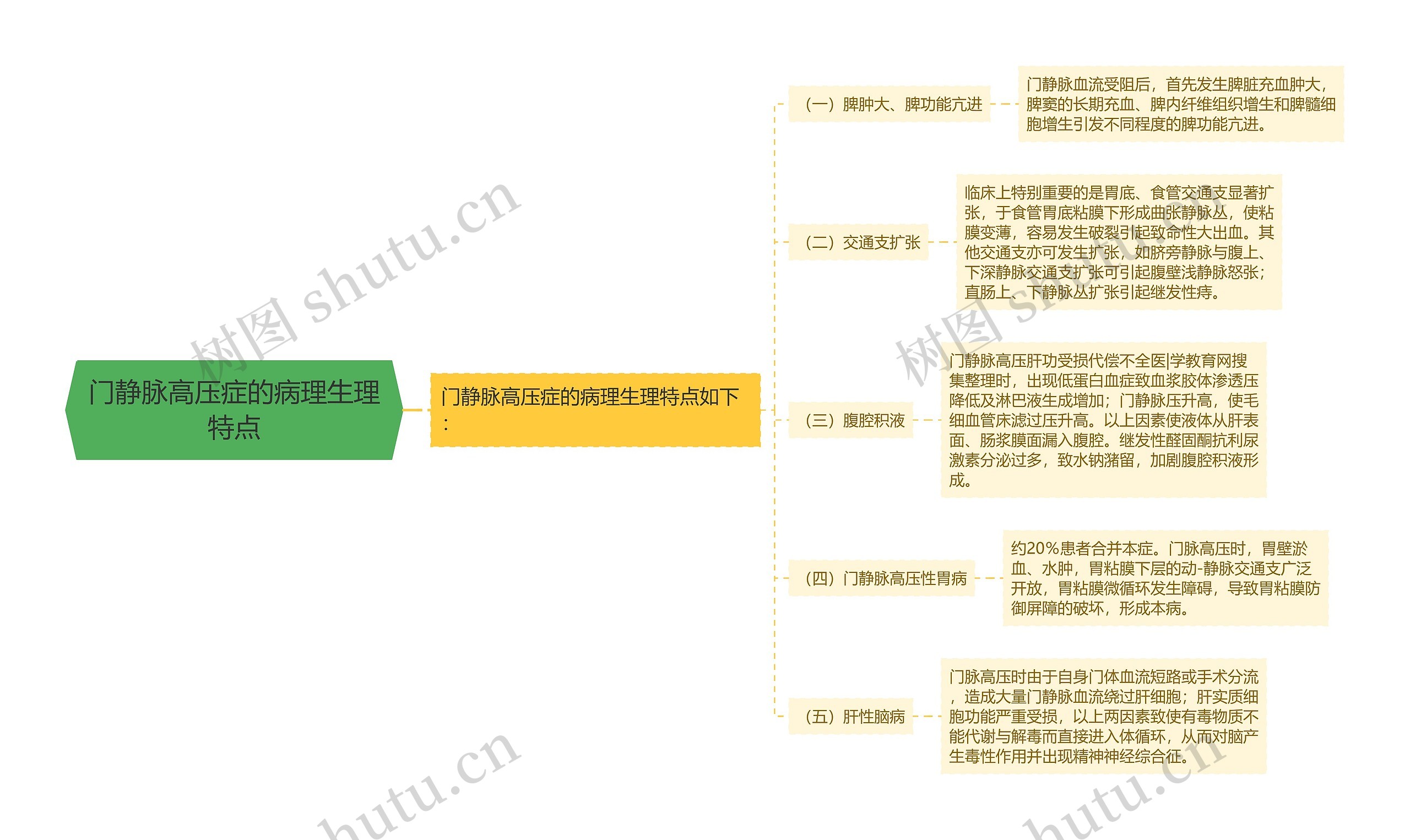 门静脉高压症的病理生理特点思维导图