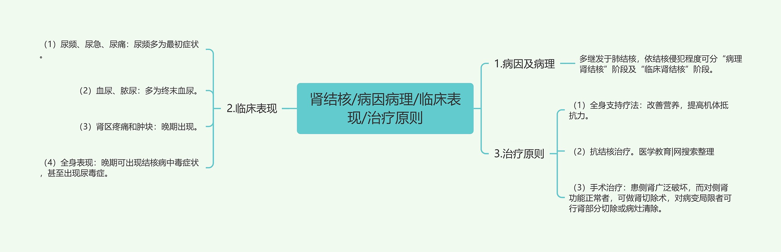 肾结核/病因病理/临床表现/治疗原则