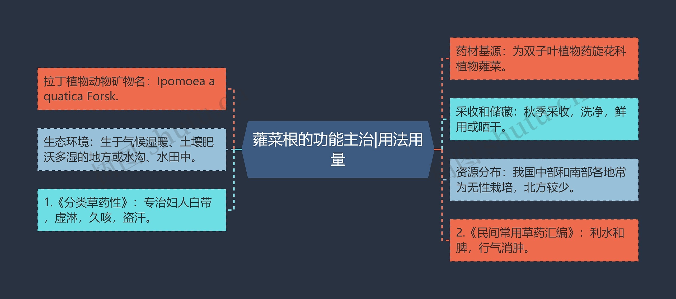 蕹菜根的功能主治|用法用量思维导图