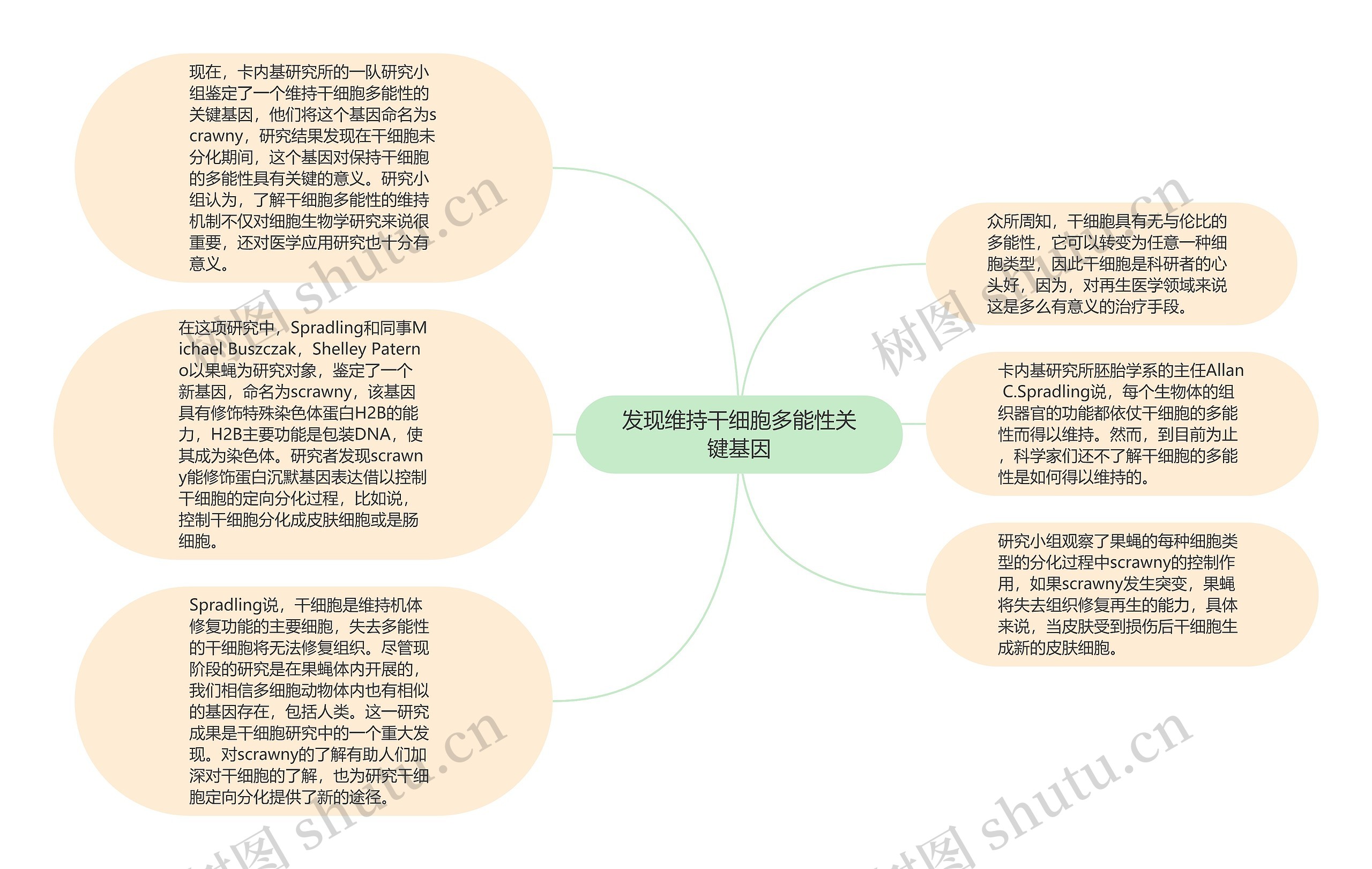 发现维持干细胞多能性关键基因