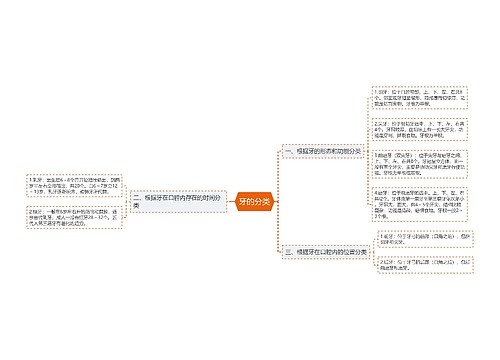 牙的分类