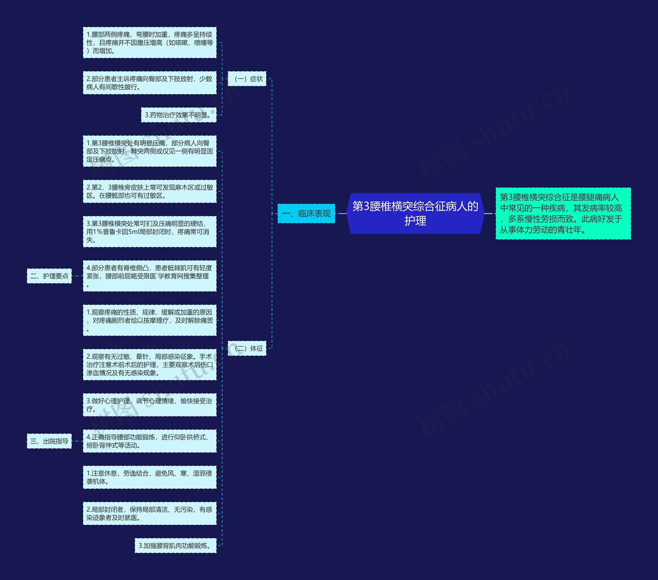 第3腰椎横突综合征病人的护理思维导图