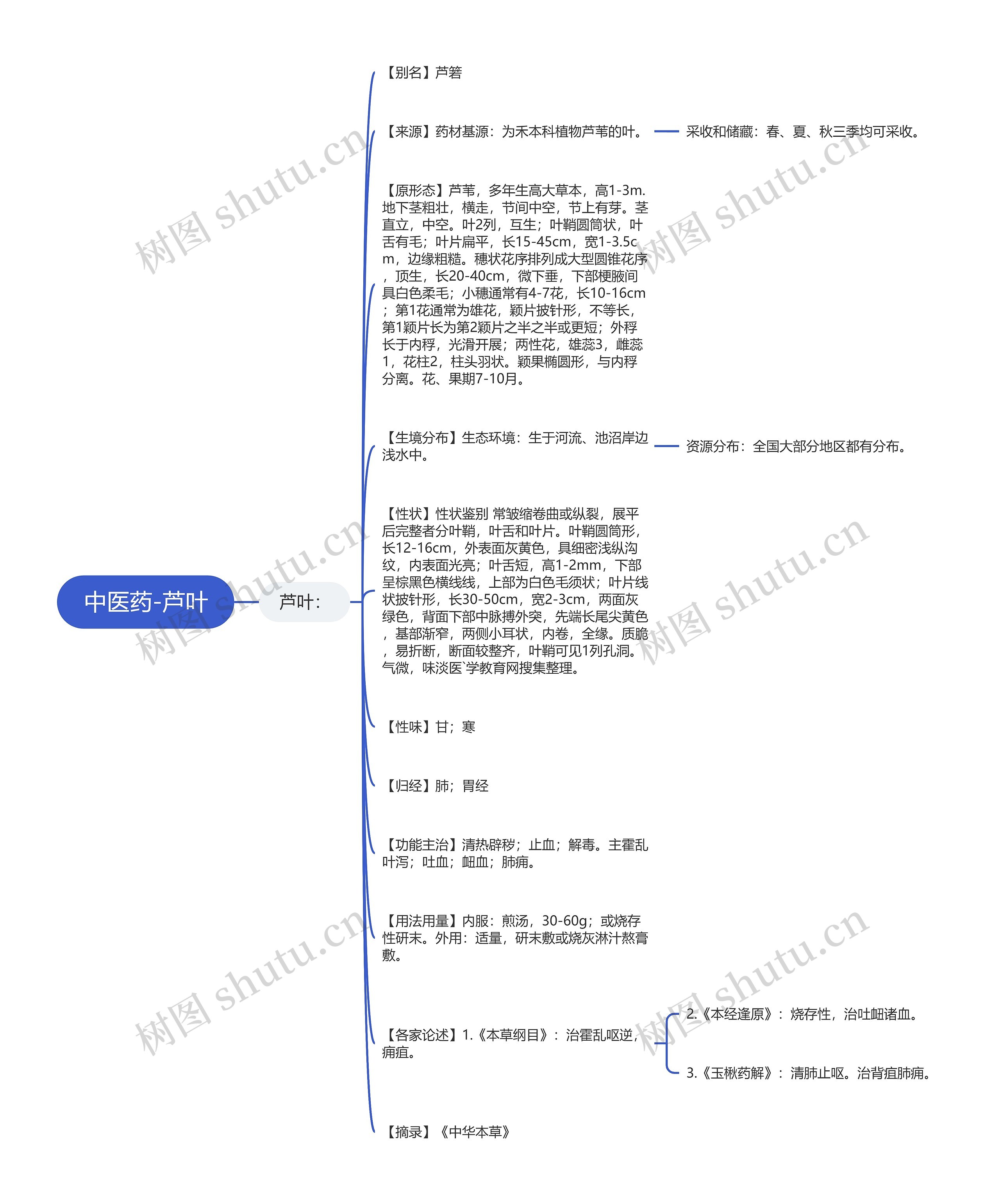 中医药-芦叶思维导图