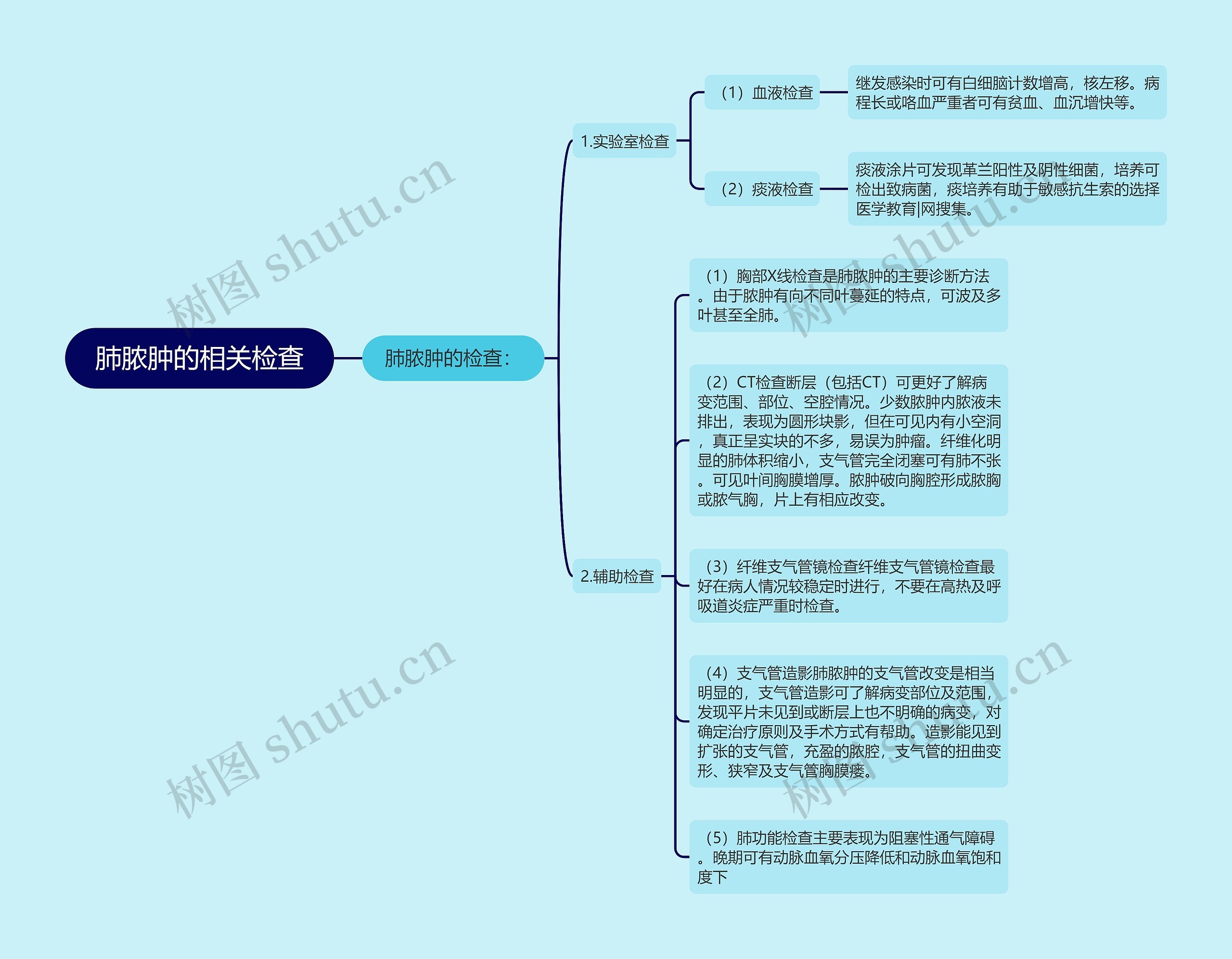 肺脓肿的相关检查