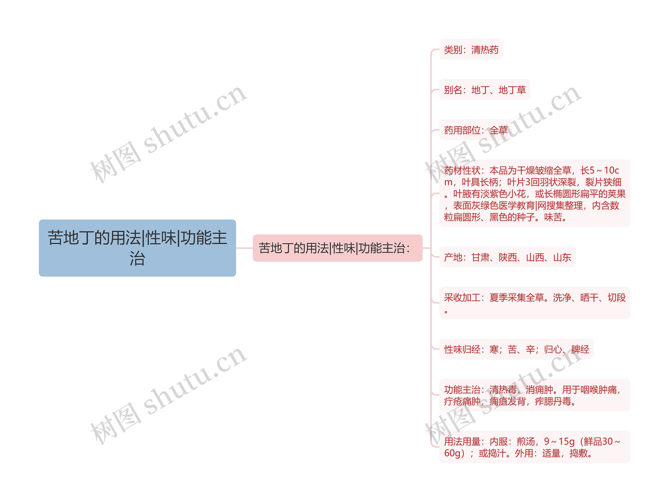 苦地丁的用法|性味|功能主治思维导图