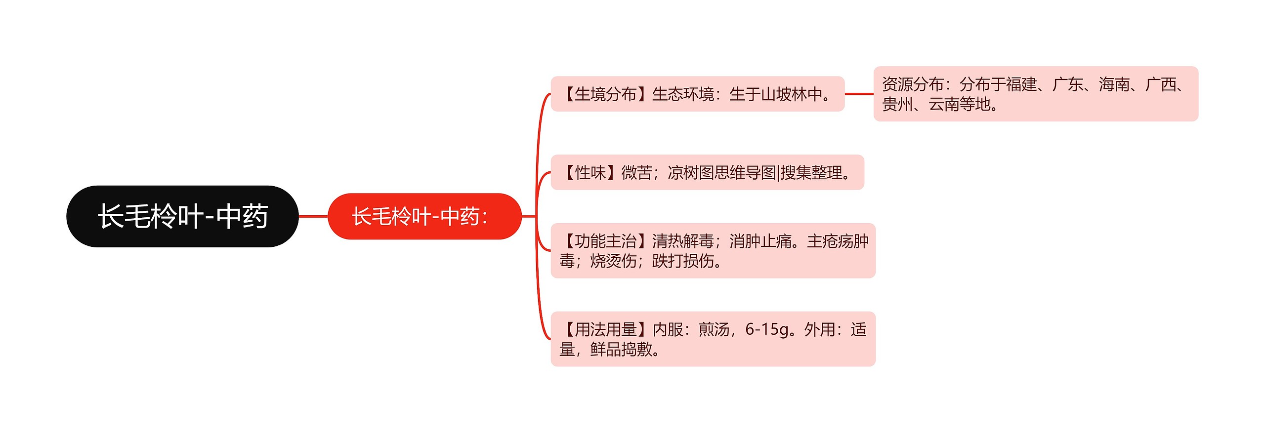 长毛柃叶-中药 长毛柃叶-中药